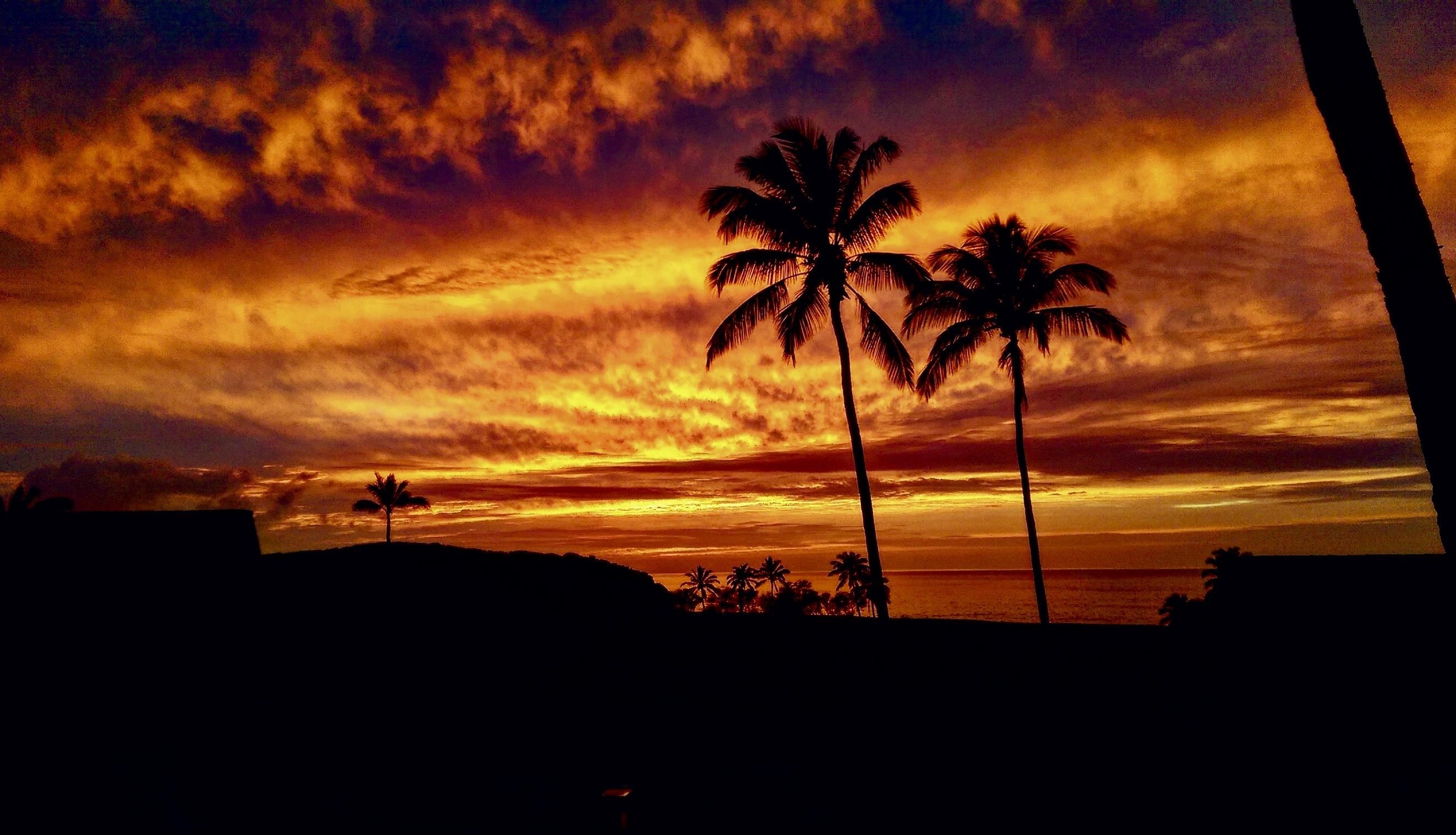 West Molokai Resort condo # 12B07/2221, Maunaloa, Hawaii - photo 13 of 50