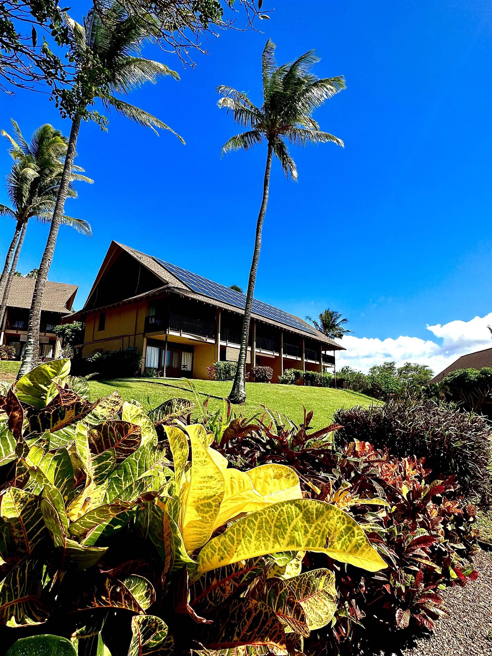 West Molokai Resort condo # 12B07/2221, Maunaloa, Hawaii - photo 7 of 50
