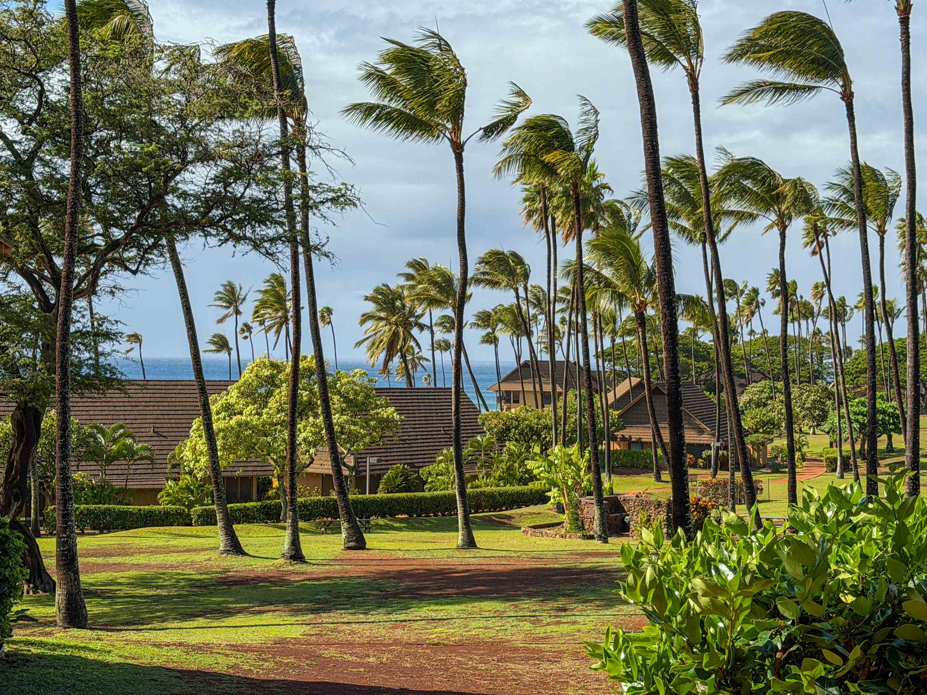 West Molokai Resort condo # 14A04, Maunaloa, Hawaii - photo 13 of 26