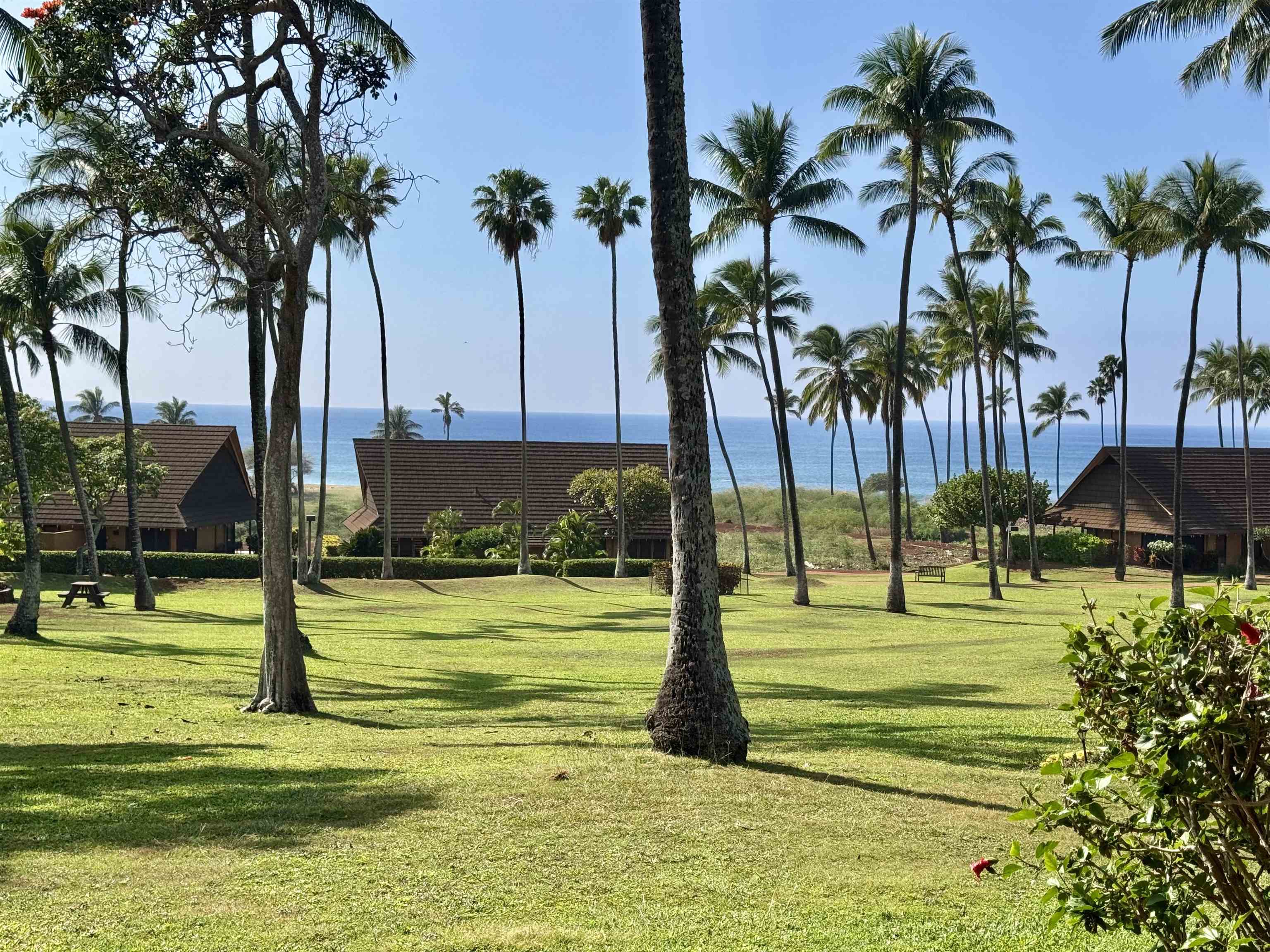 West Molokai Resort condo # 16B02/1182, Maunaloa, Hawaii - photo 15 of 29