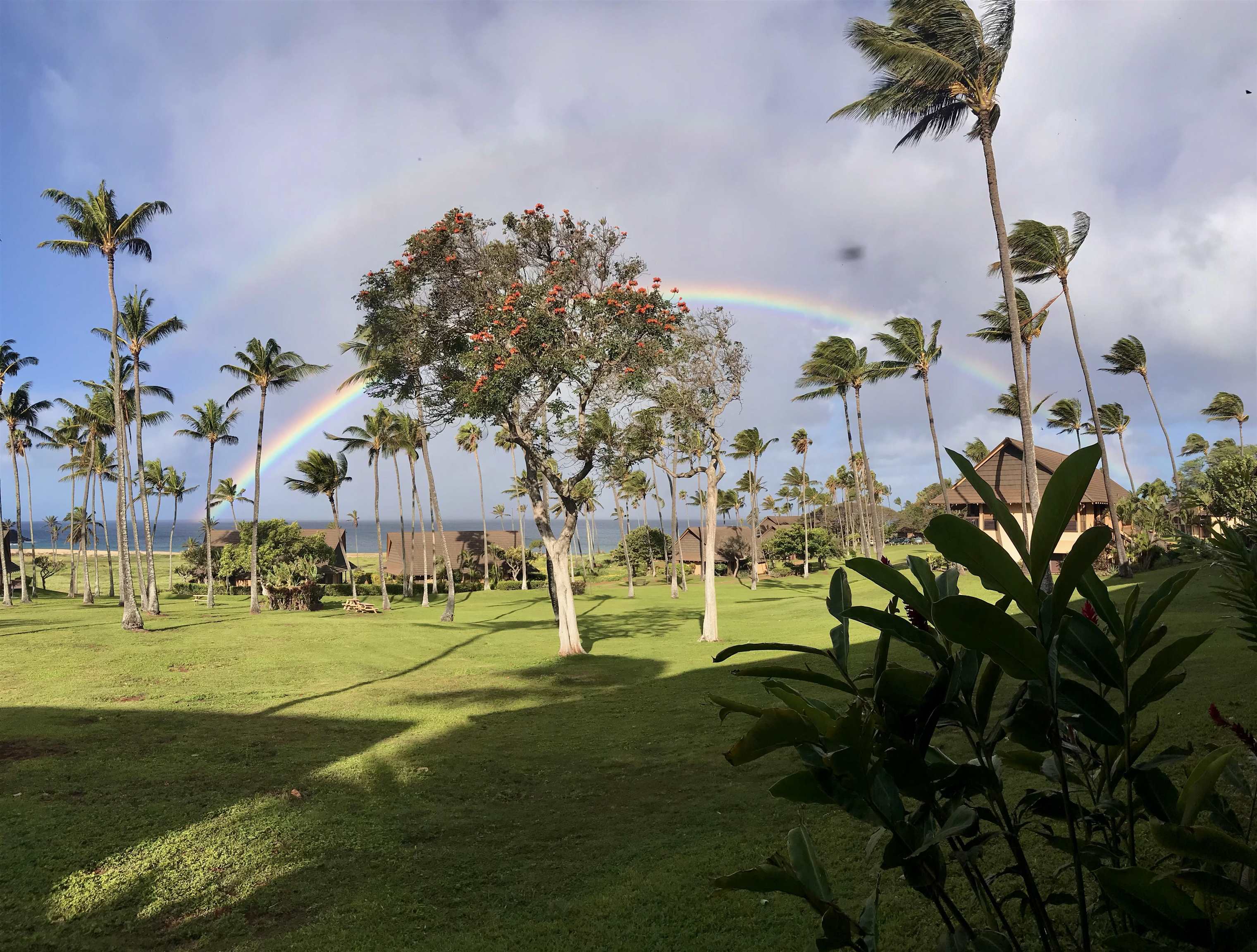 West Molokai Resort condo # 16B06-1186, Maunaloa, Hawaii - photo 19 of 25
