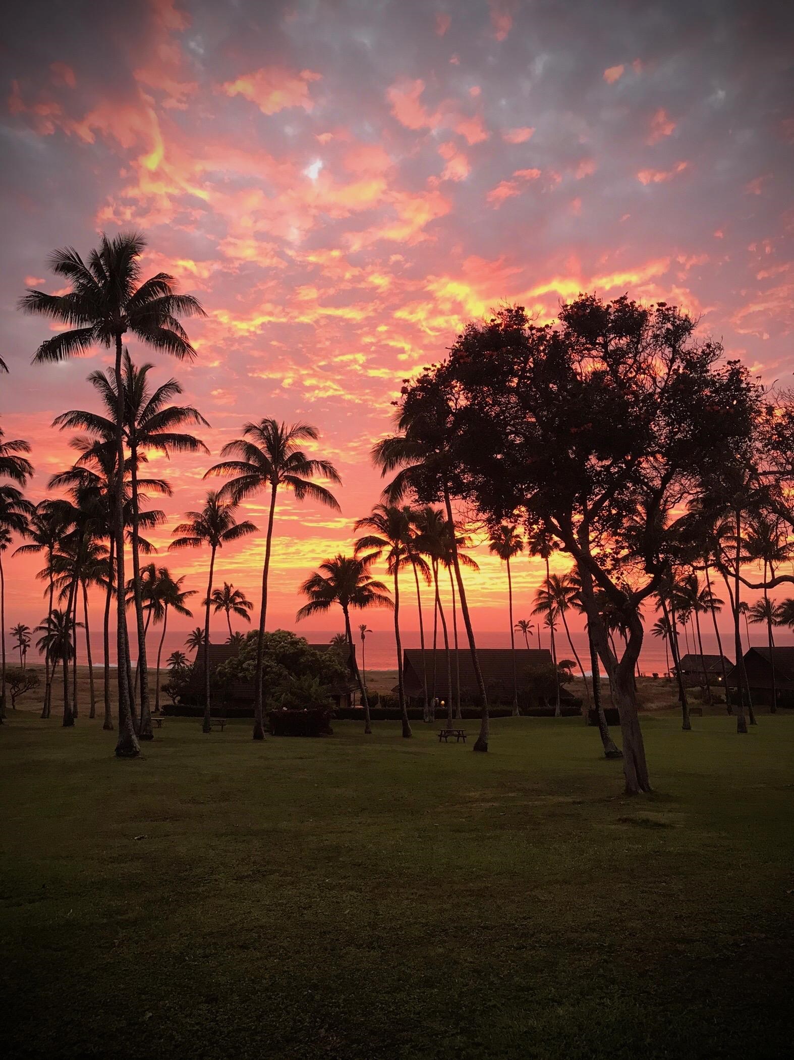 West Molokai Resort condo # 16B06-1186, Maunaloa, Hawaii - photo 22 of 25