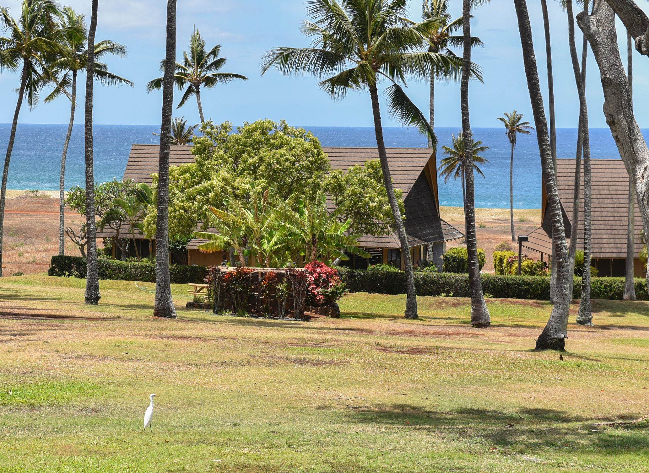 West Molokai Resort condo # 17B07, Maunaloa, Hawaii - photo 30 of 50