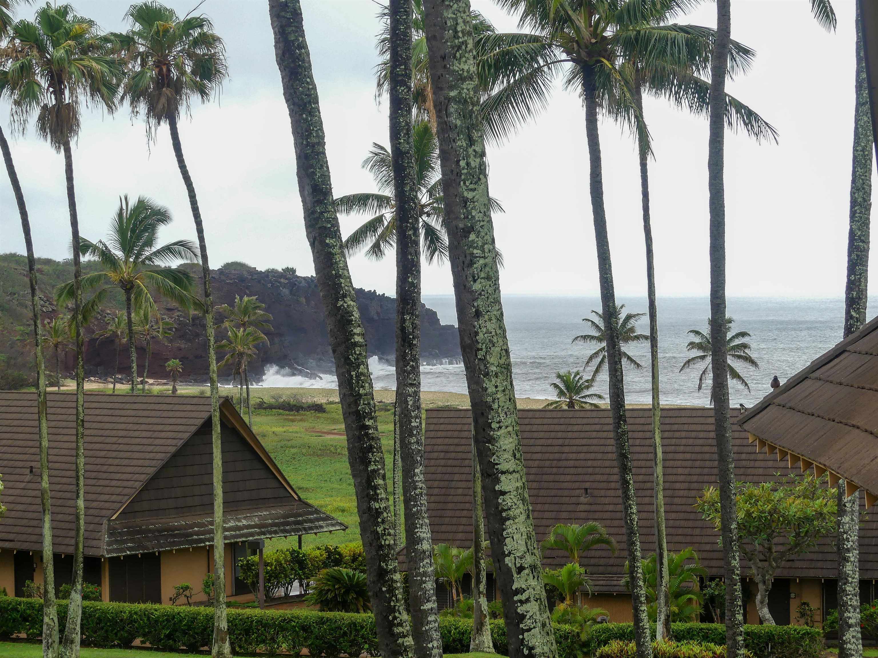 West Molokai Resort condo # 17B07, Maunaloa, Hawaii - photo 31 of 50