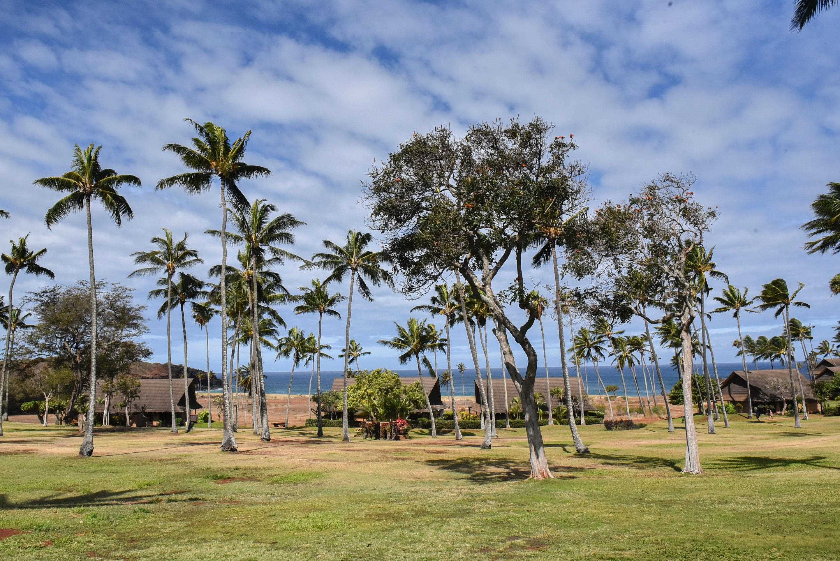 West Molokai Resort condo # 17B07, Maunaloa, Hawaii - photo 37 of 50