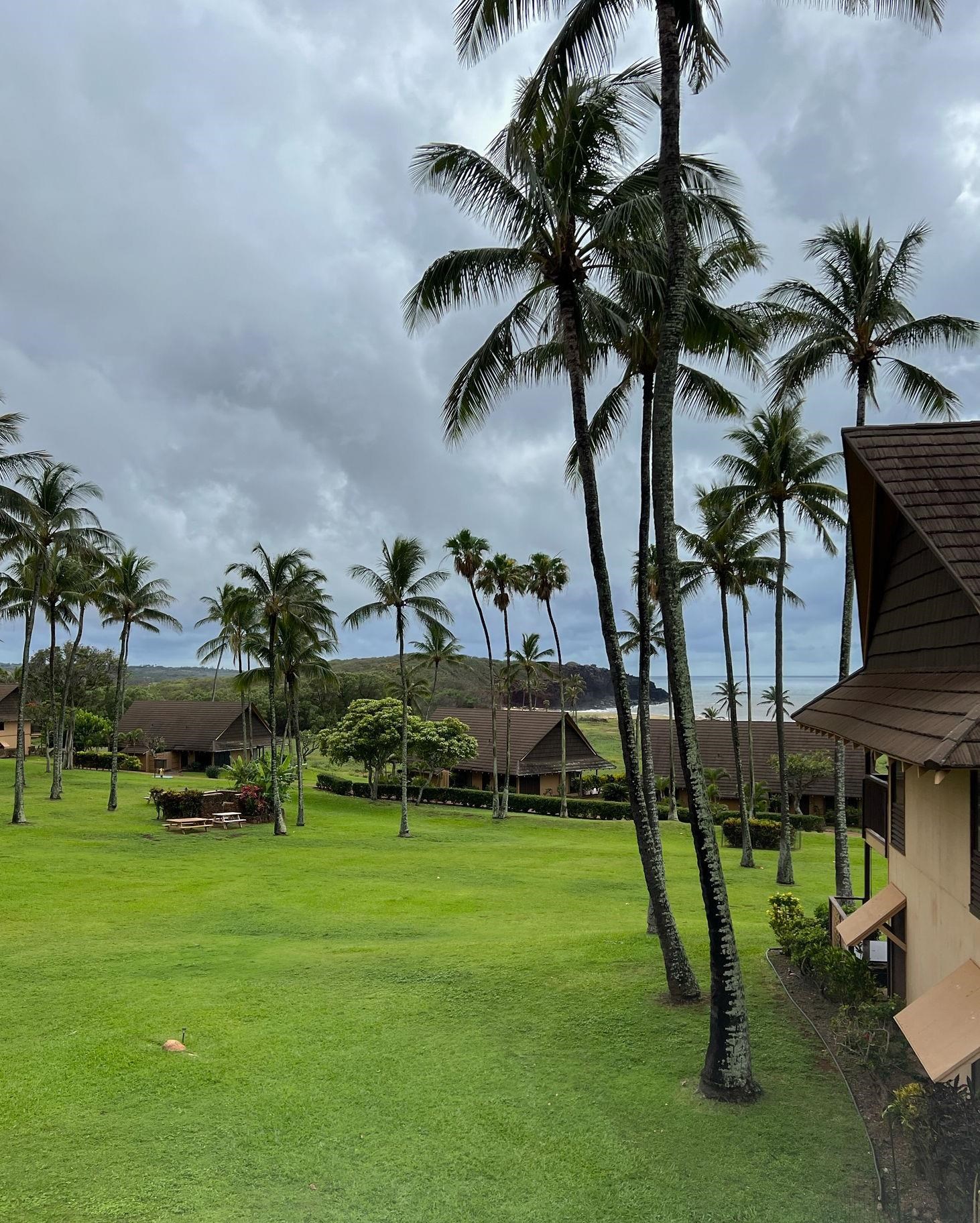 West Molokai Resort condo # 17B07, Maunaloa, Hawaii - photo 46 of 50