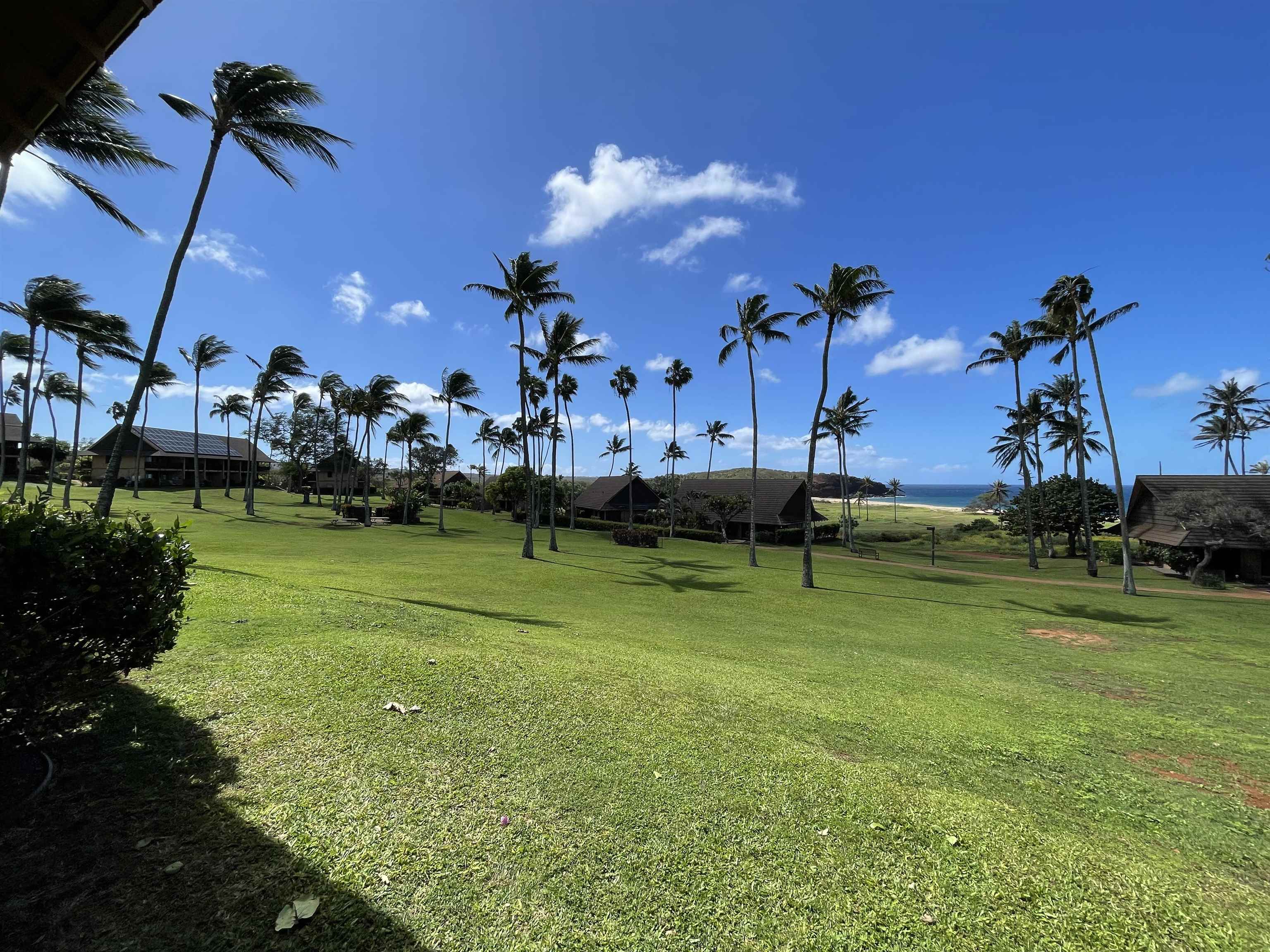 West Molokai Resort condo # 18A01, Maunaloa, Hawaii - photo 21 of 22