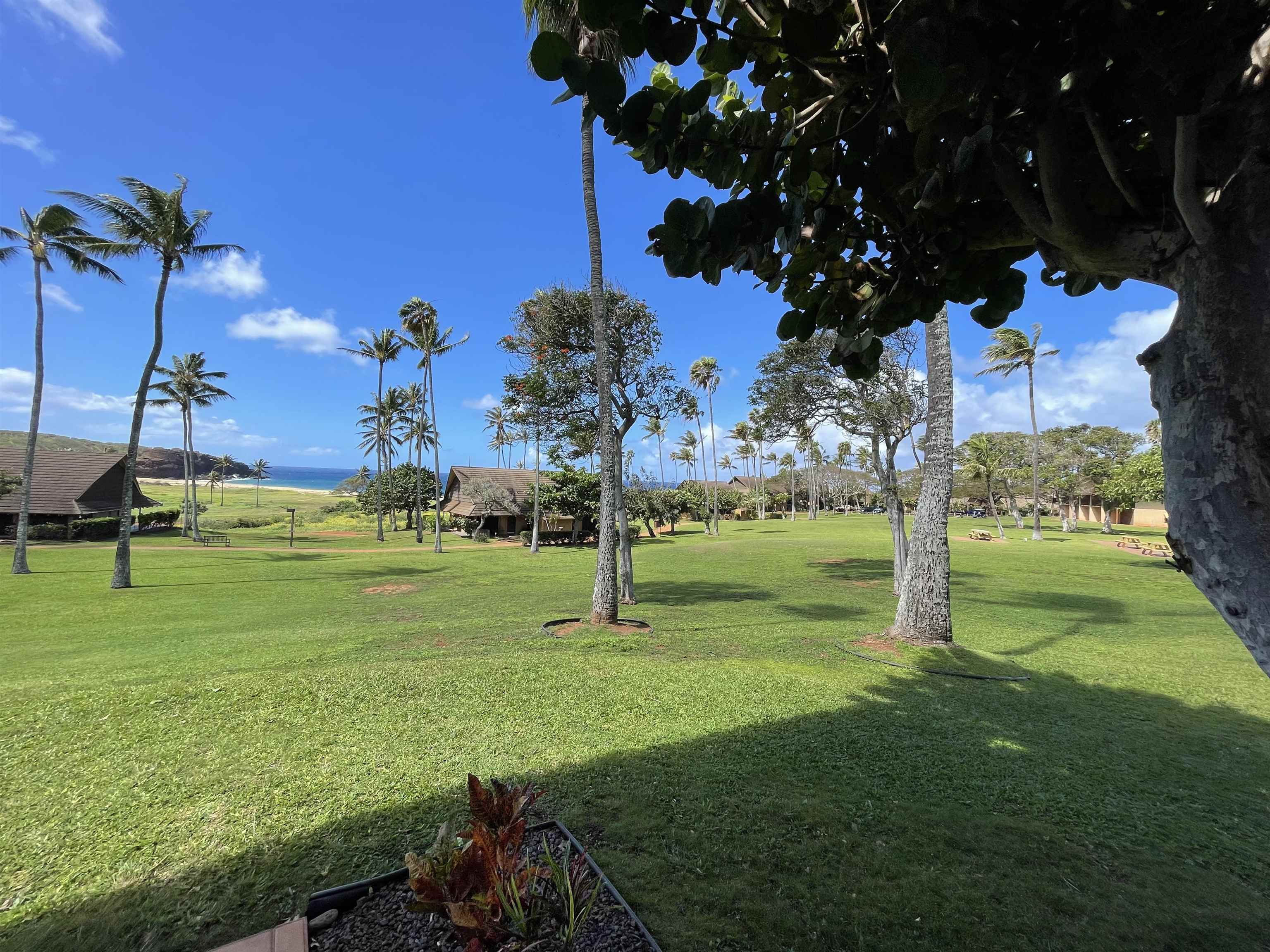 West Molokai Resort condo # 18A01, Maunaloa, Hawaii - photo 22 of 22