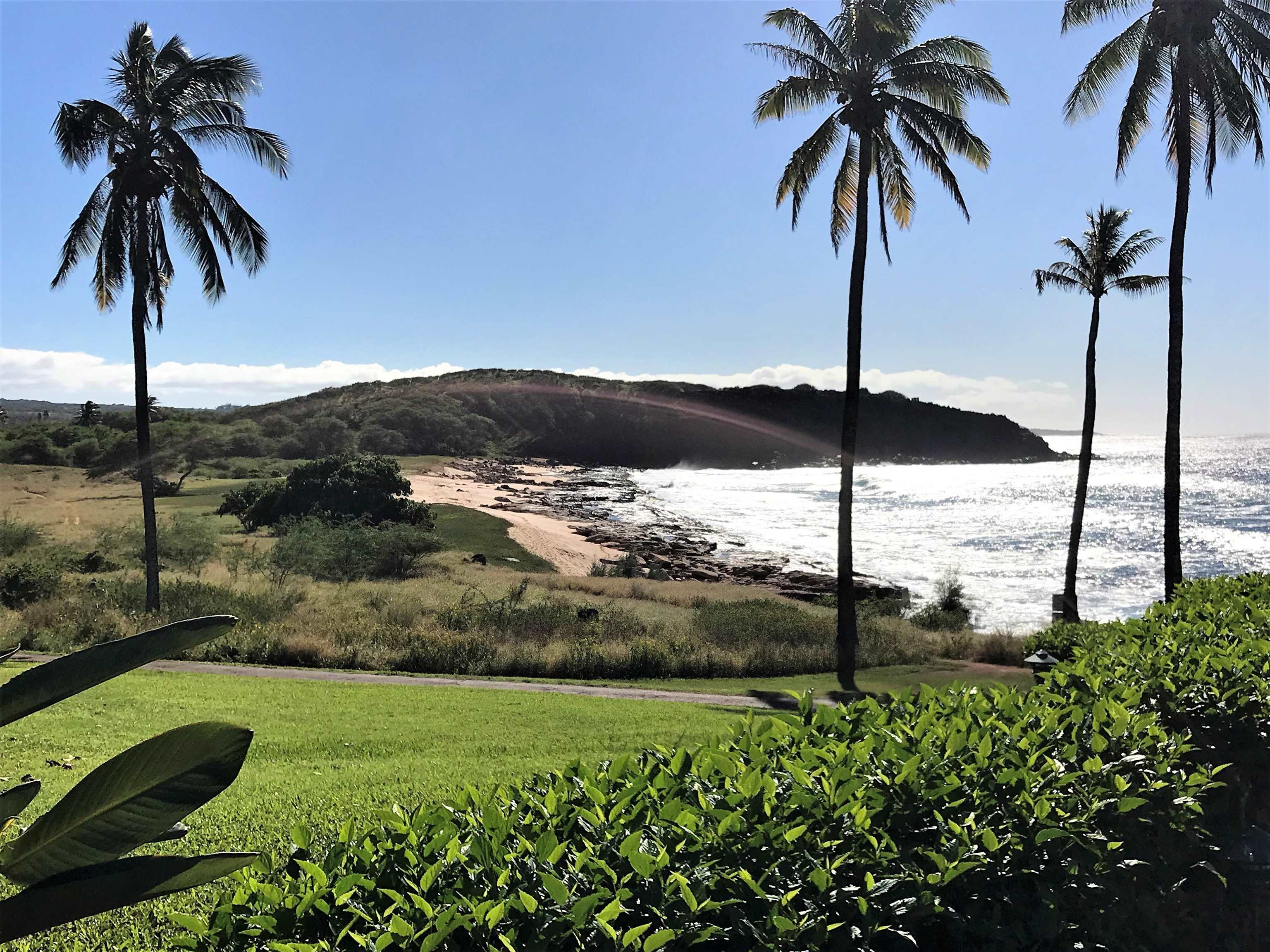 West Molokai Resort condo # 18A02, Maunaloa, Hawaii - photo 22 of 28