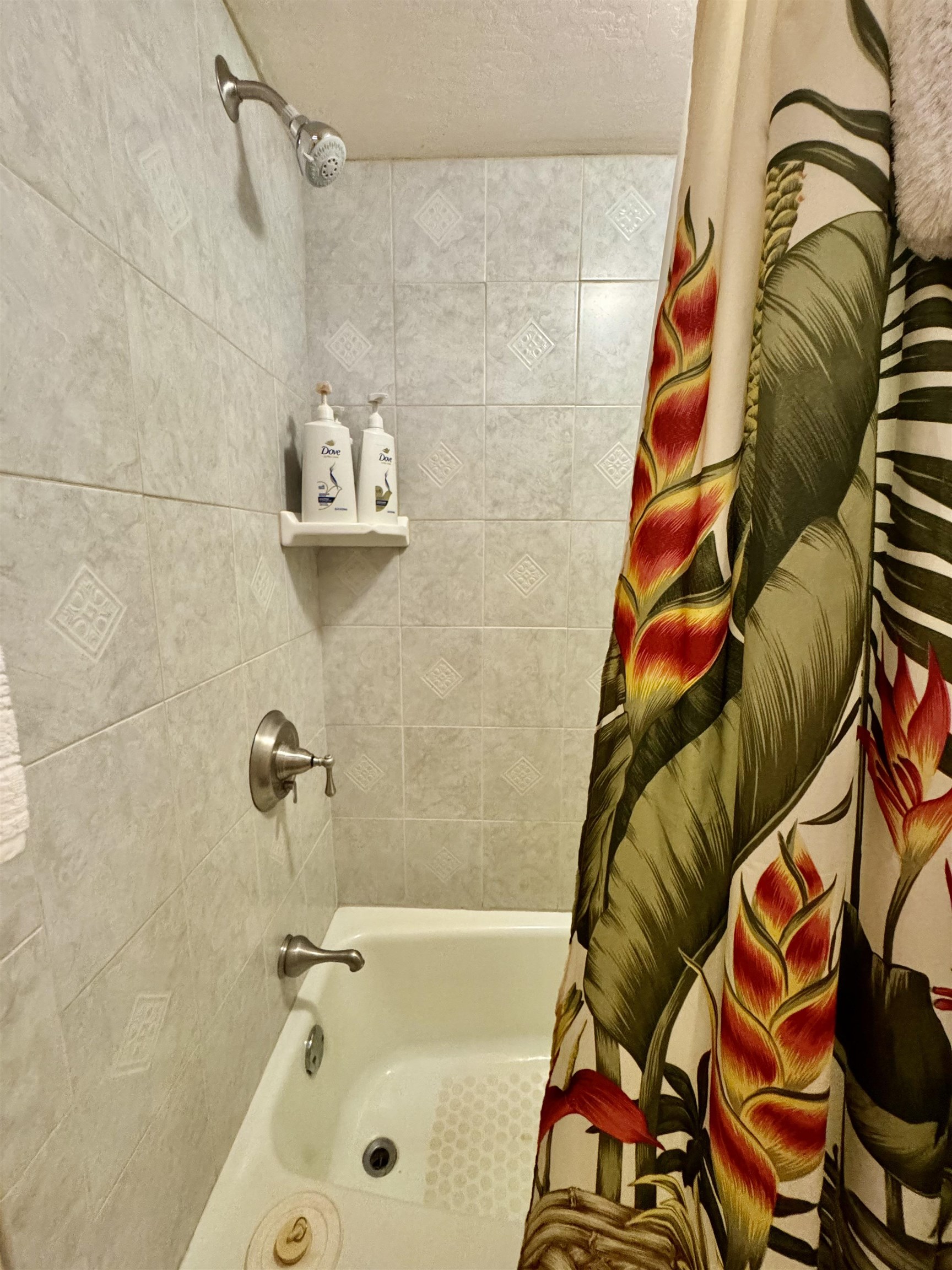 West Molokai Resort condo # 20B09-2143, Maunaloa, Hawaii - photo 19 of 25