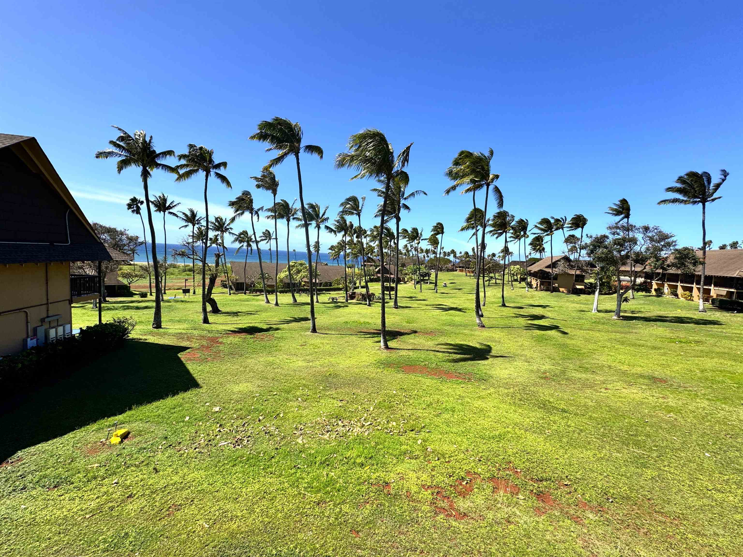 West Molokai Resort condo # 2203, Maunaloa, Hawaii - photo 20 of 30