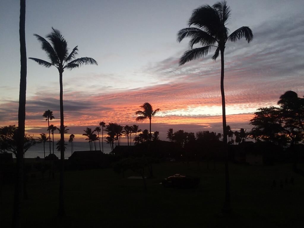 West Molokai Resort condo # 2203, Maunaloa, Hawaii - photo 23 of 30