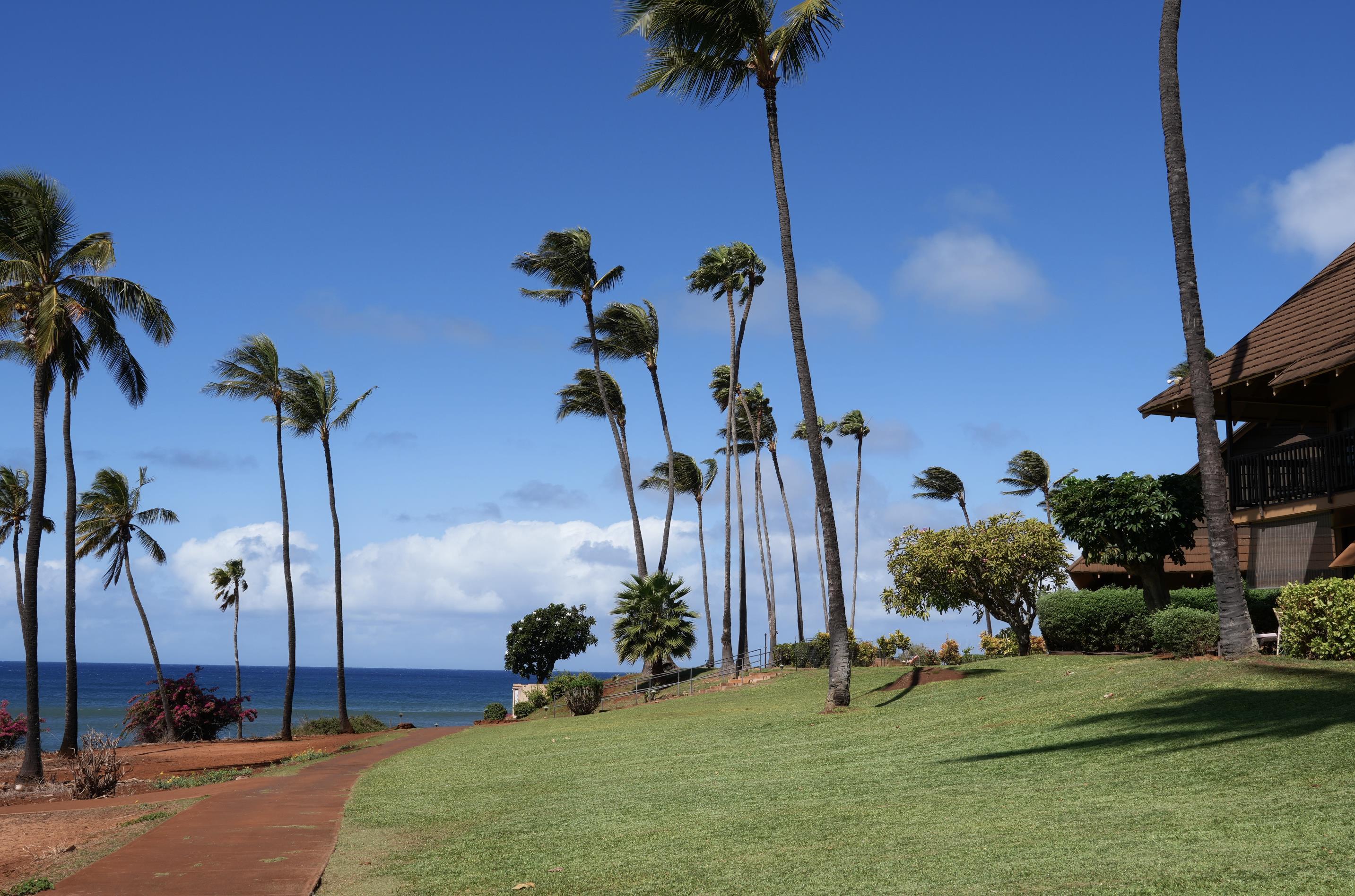 West Molokai Resort condo # 4A08/2244, Maunaloa, Hawaii - photo 33 of 50