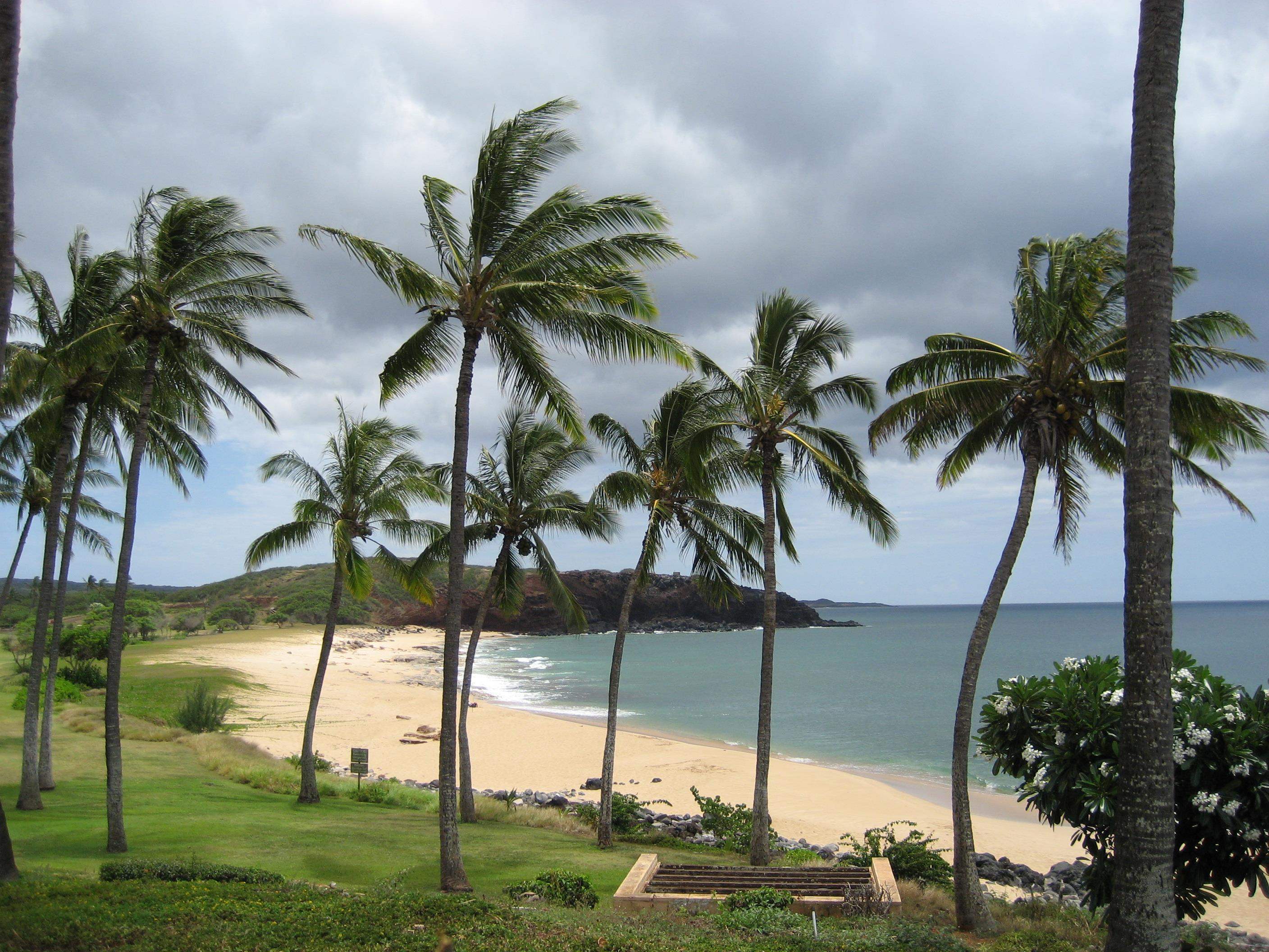 West Molokai Resort condo # 4A08/2244, Maunaloa, Hawaii - photo 39 of 48