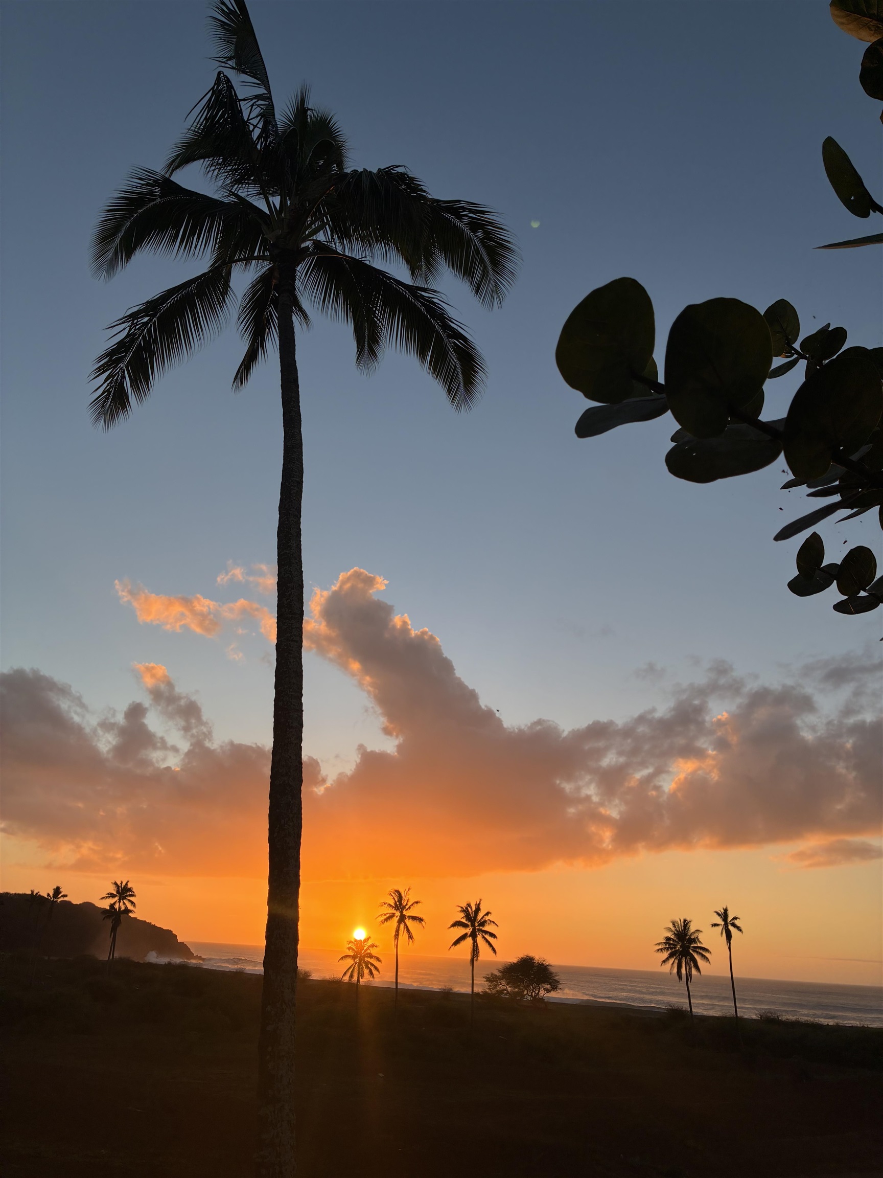 West Molokai Resort condo # 9C02-7B, Maunaloa, Hawaii - photo 33 of 37