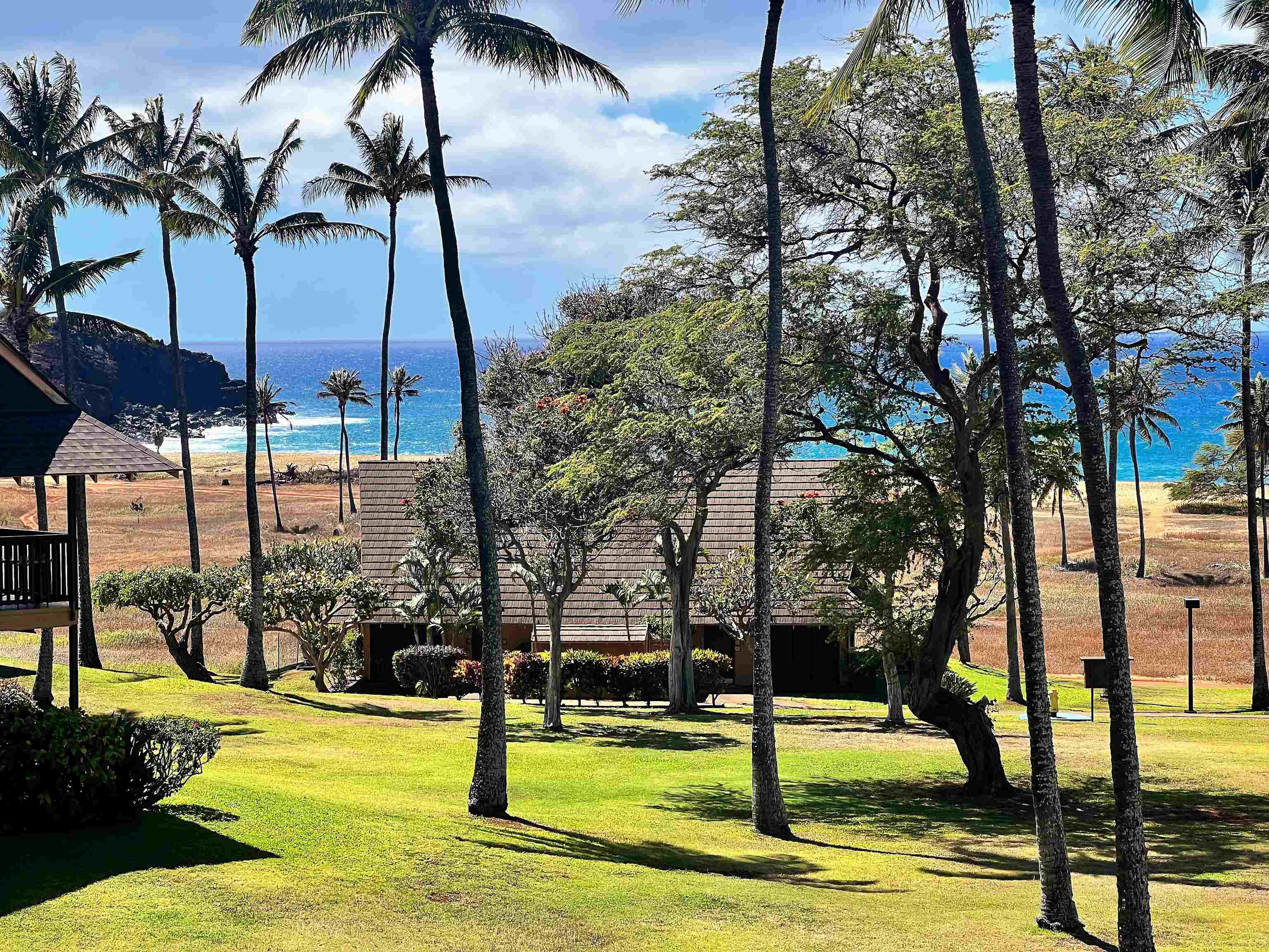 West Molokai Resort condo # C501, Maunaloa, Hawaii - photo 16 of 20