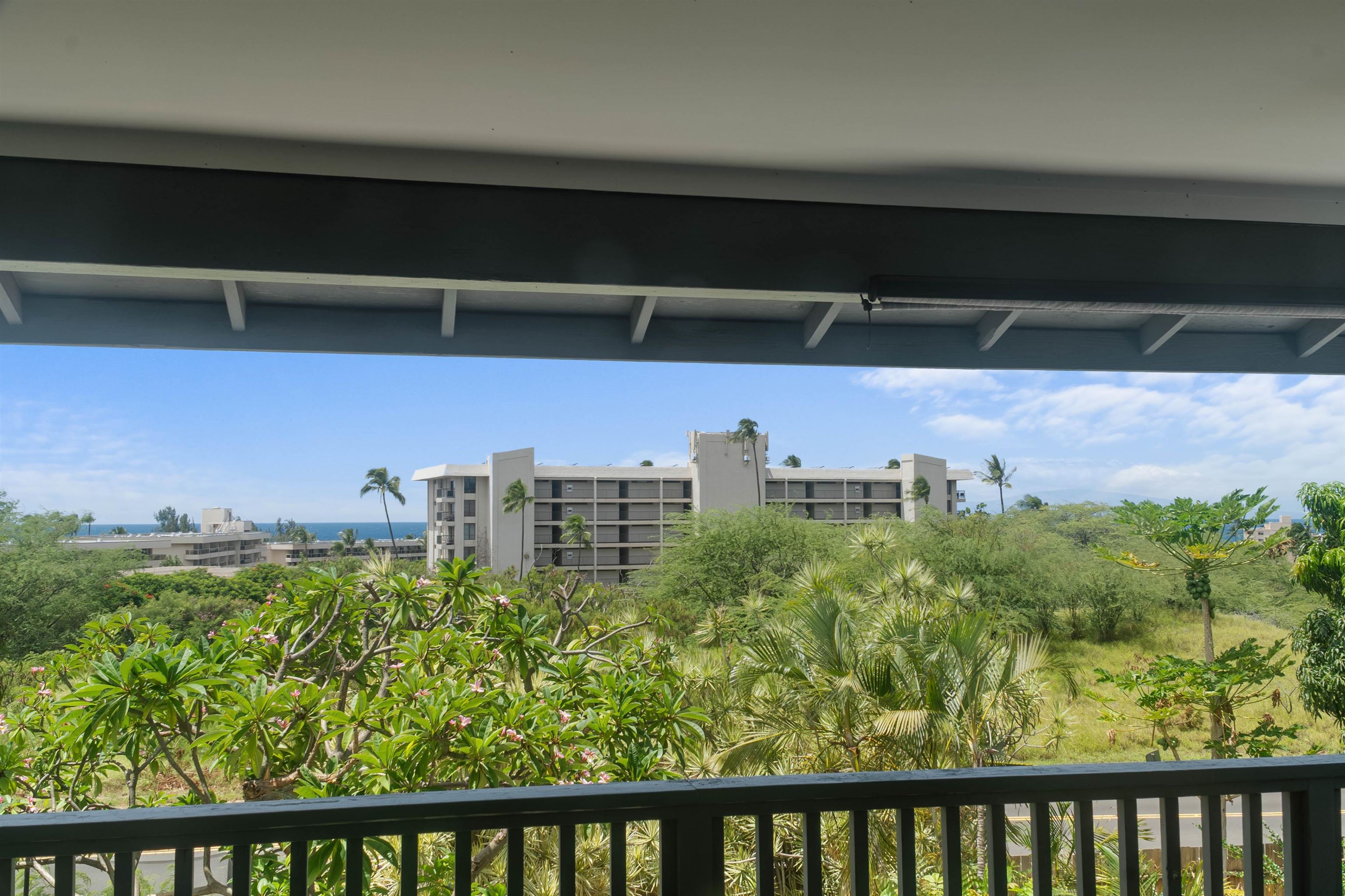 2556  Omiko Pl Keonekai, Kihei home - photo 5 of 27