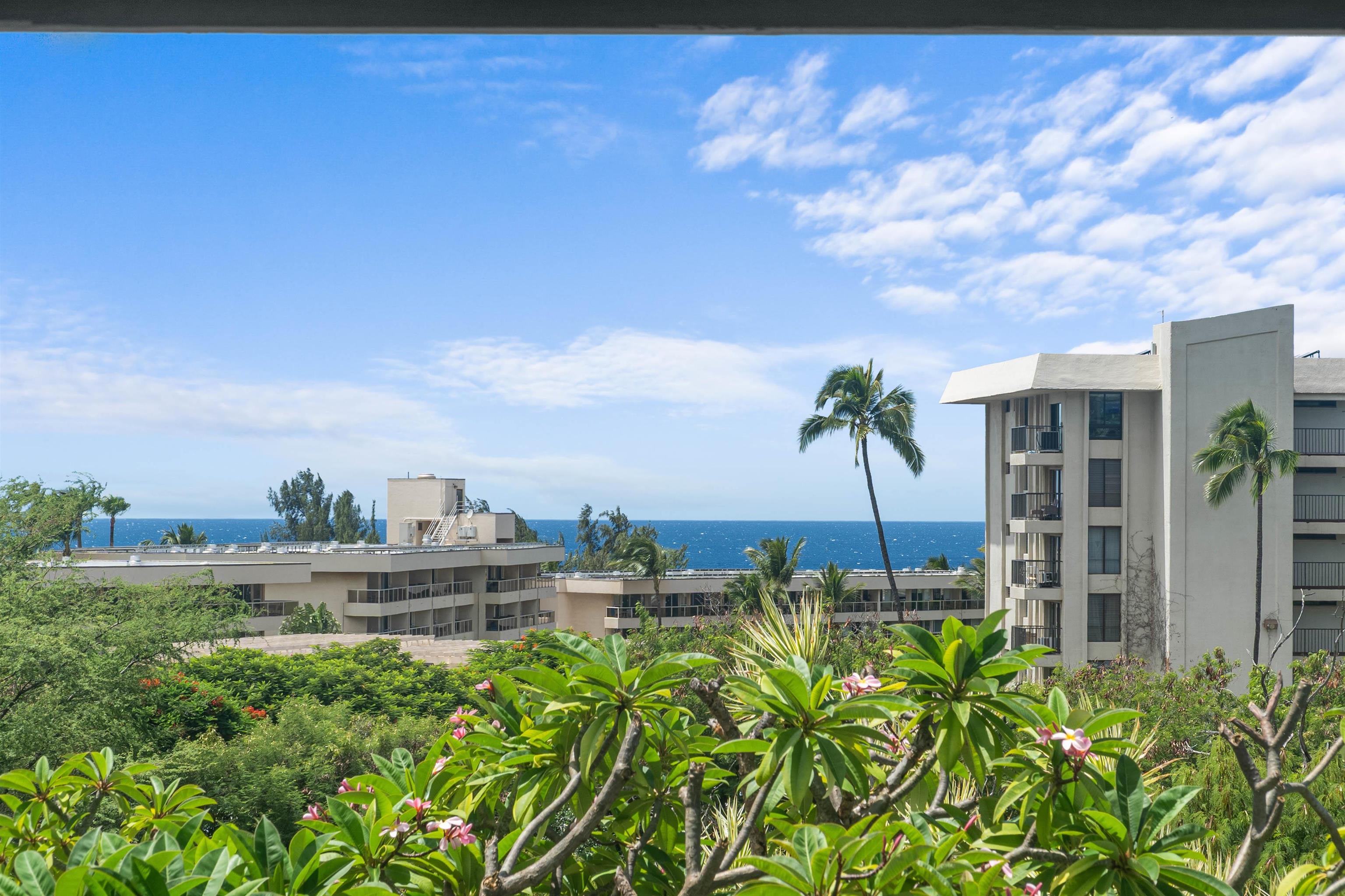 2556  Omiko Pl Keonekai, Kihei home - photo 6 of 27