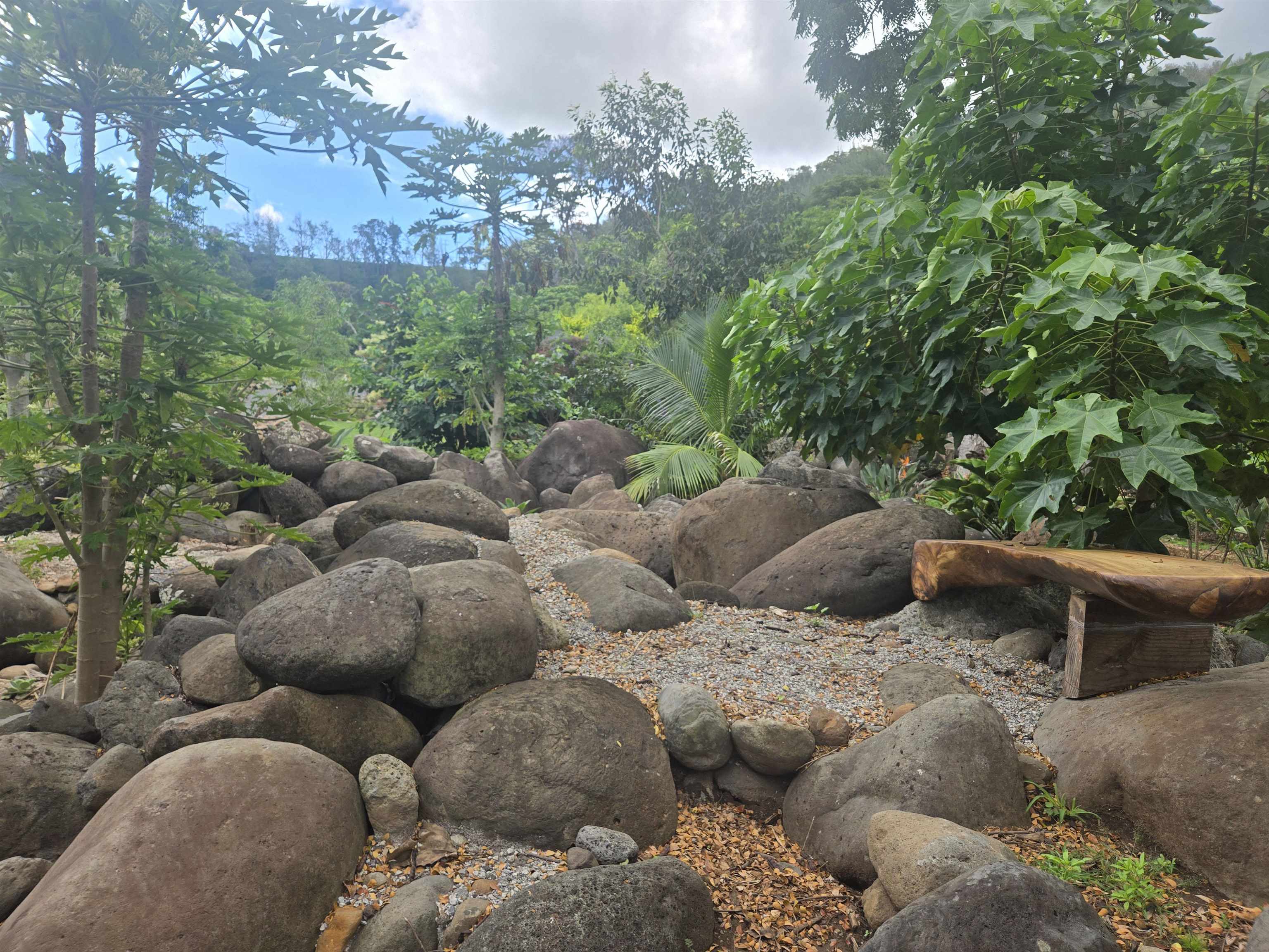 2559  Mokuhau Rd , Wailuku home - photo 13 of 16