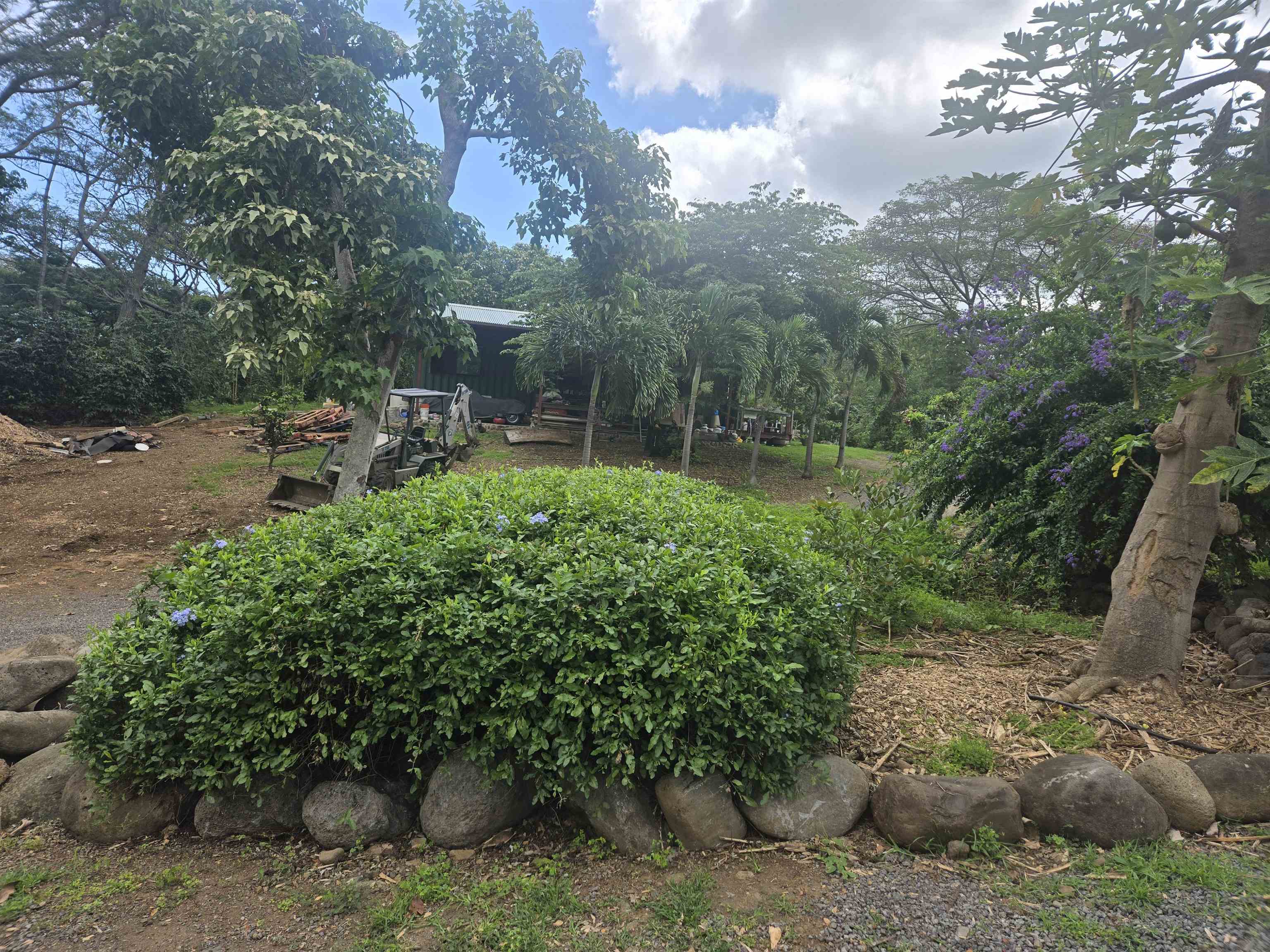 2559  Mokuhau Rd , Wailuku home - photo 9 of 16