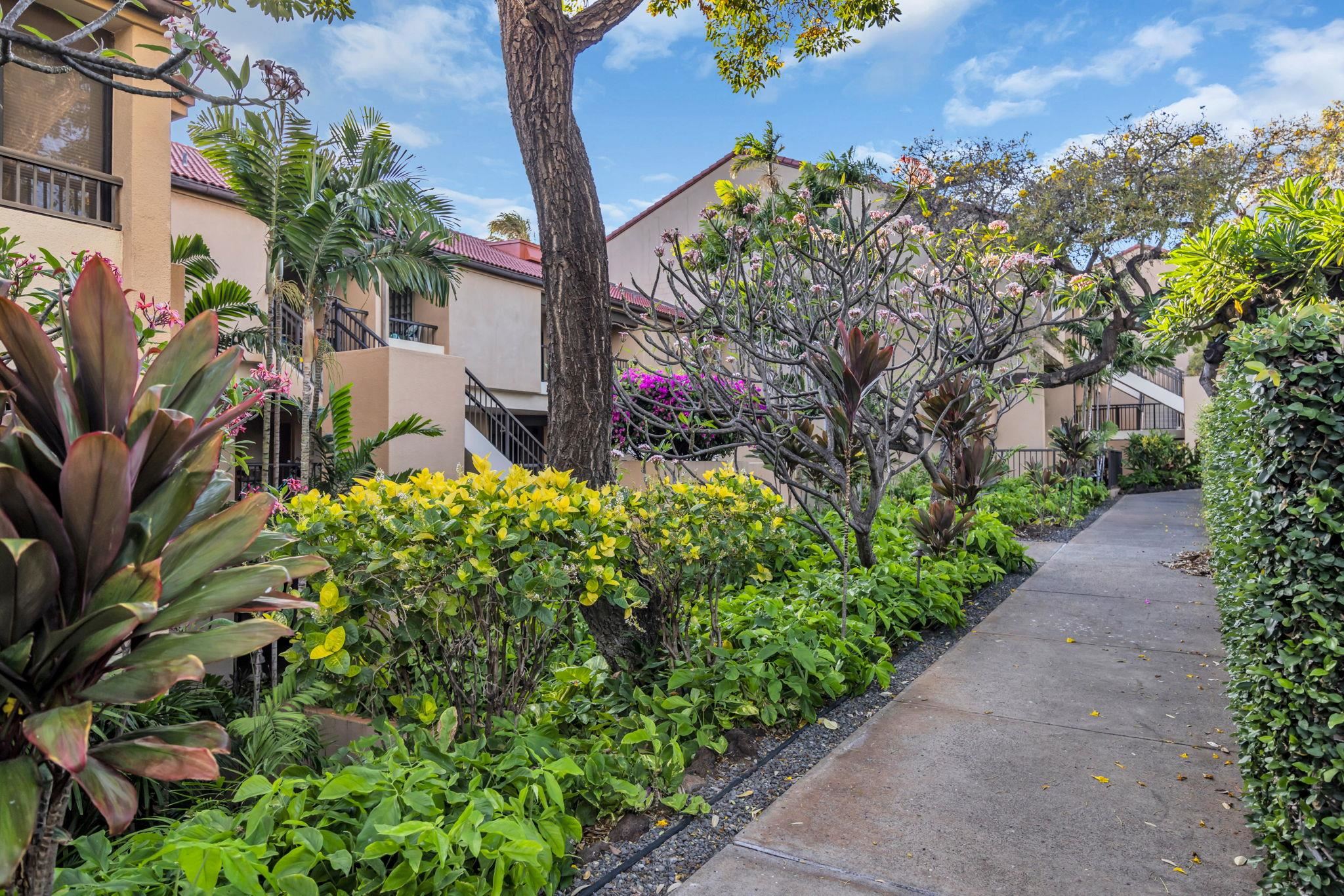 Kaanapali Royal condo # C202, Lahaina, Hawaii - photo 36 of 49