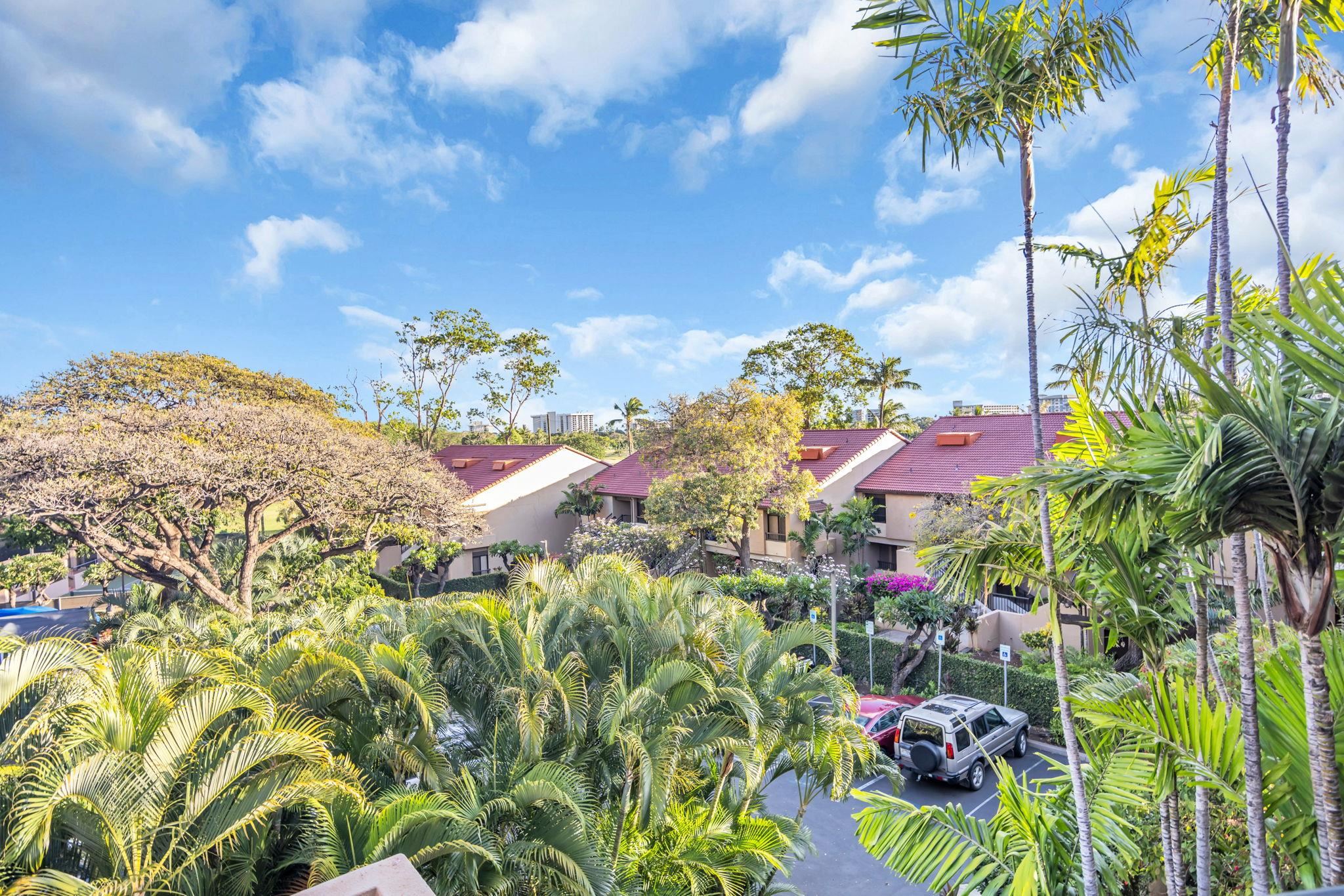 Kaanapali Royal condo # C202, Lahaina, Hawaii - photo 40 of 49