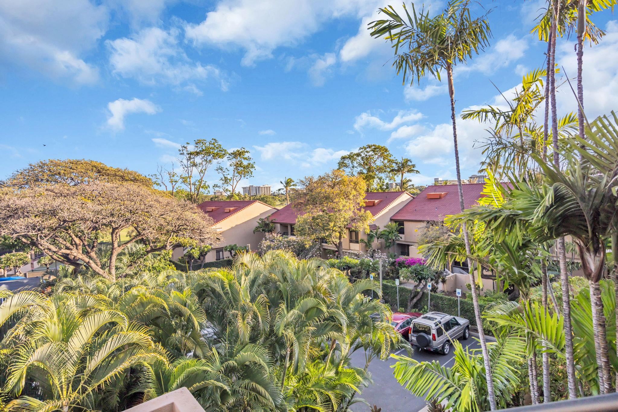 Kaanapali Royal condo # C202, Lahaina, Hawaii - photo 41 of 49