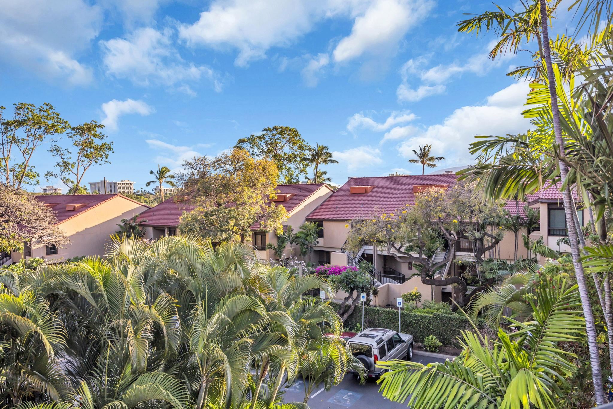 Kaanapali Royal condo # C202, Lahaina, Hawaii - photo 42 of 49