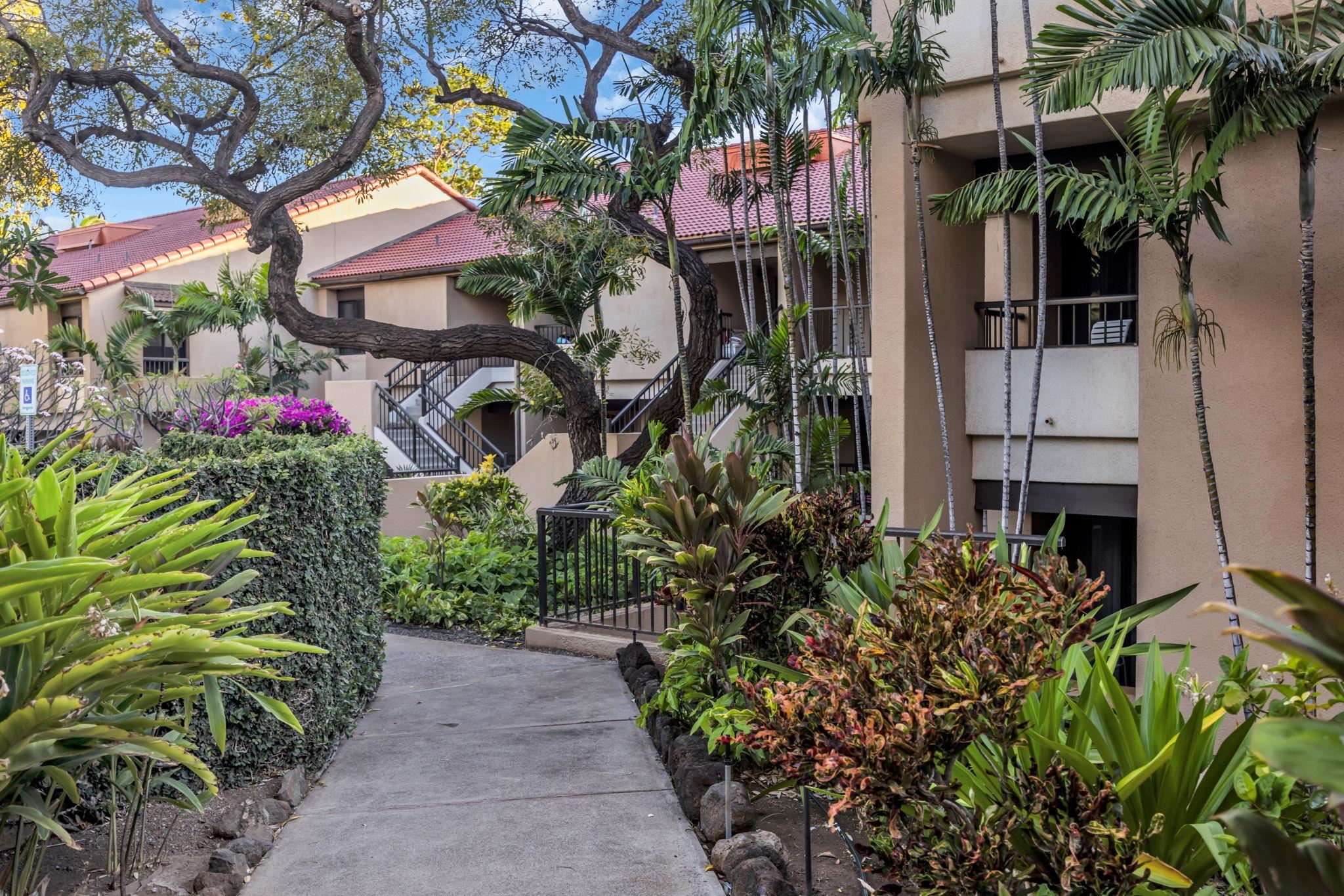 Kaanapali Royal condo # C202, Lahaina, Hawaii - photo 44 of 49