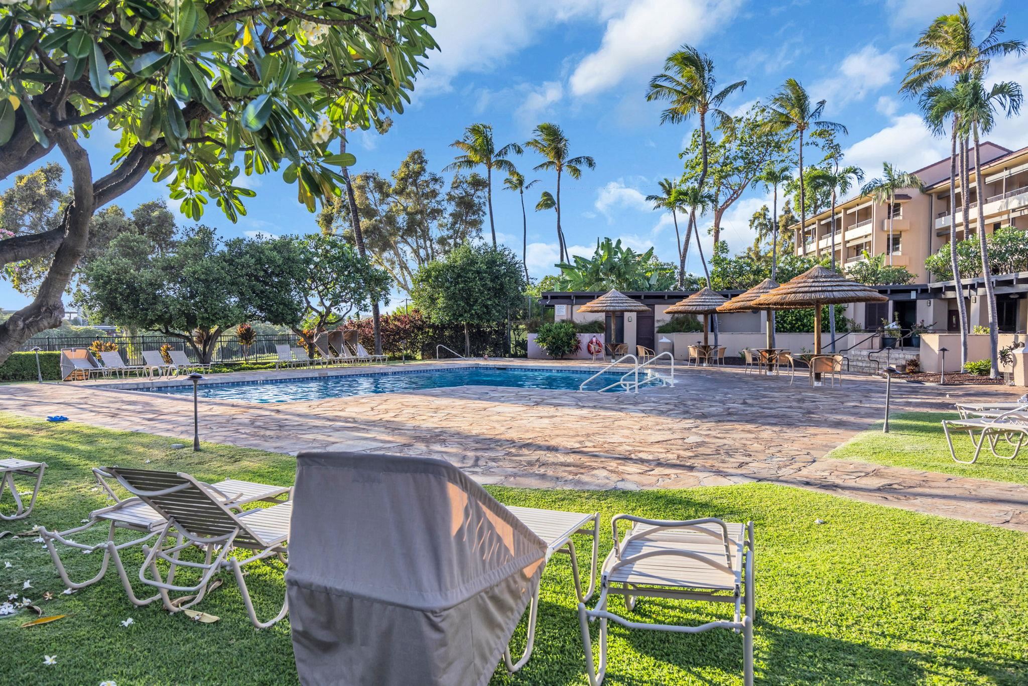 Kaanapali Royal condo # C202, Lahaina, Hawaii - photo 49 of 49