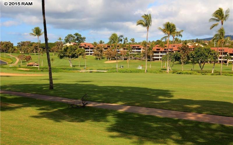 Kaanapali Royal condo # C301, Lahaina, Hawaii - photo 28 of 30