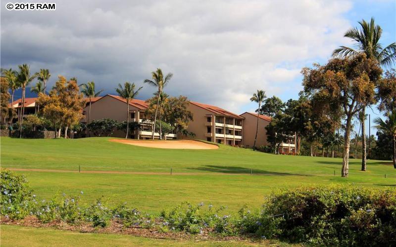 Kaanapali Royal condo # C301, Lahaina, Hawaii - photo 29 of 30