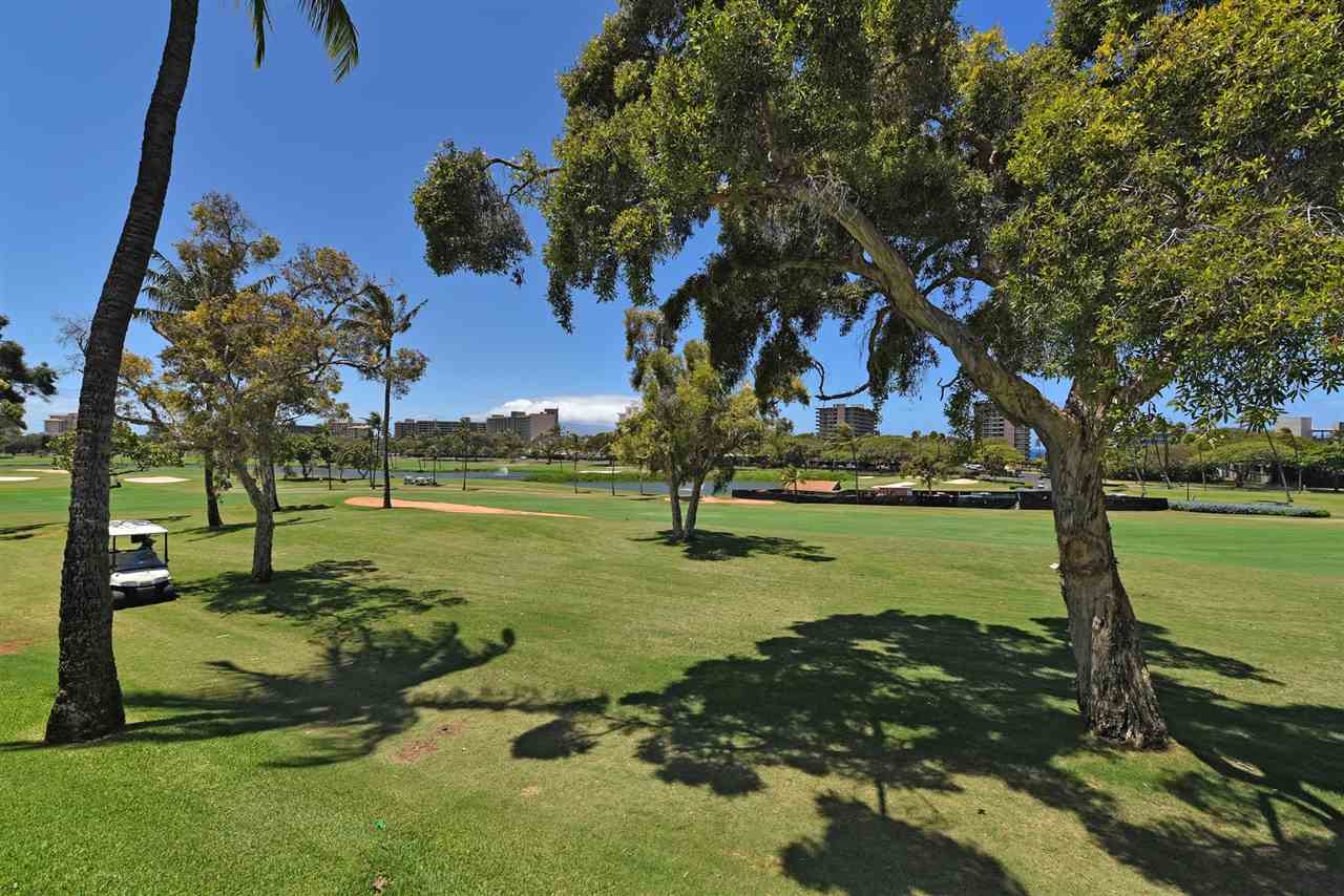 Kaanapali Royal condo # E201, Lahaina, Hawaii - photo 2 of 30