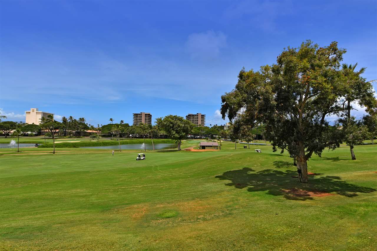 Kaanapali Royal condo # E201, Lahaina, Hawaii - photo 15 of 30