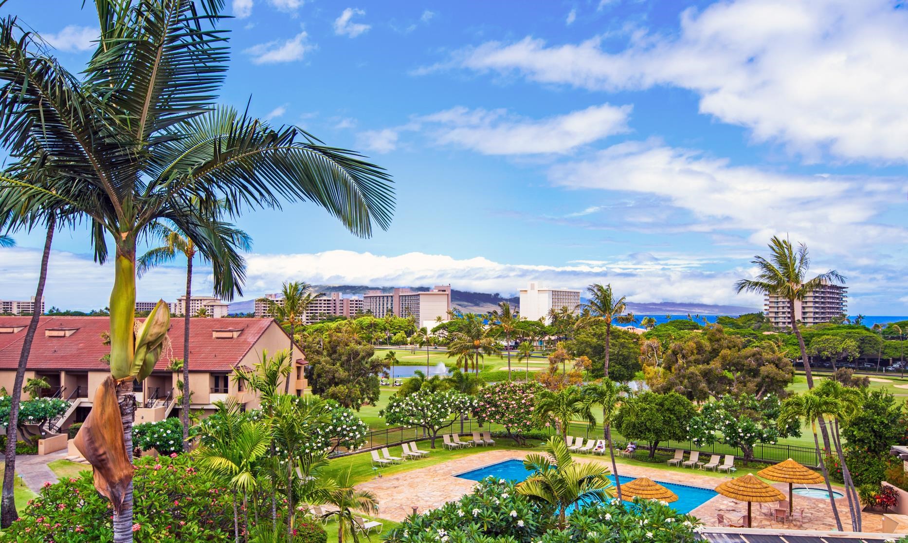 Kaanapali Royal condo # F 102, Lahaina, Hawaii - photo 35 of 36