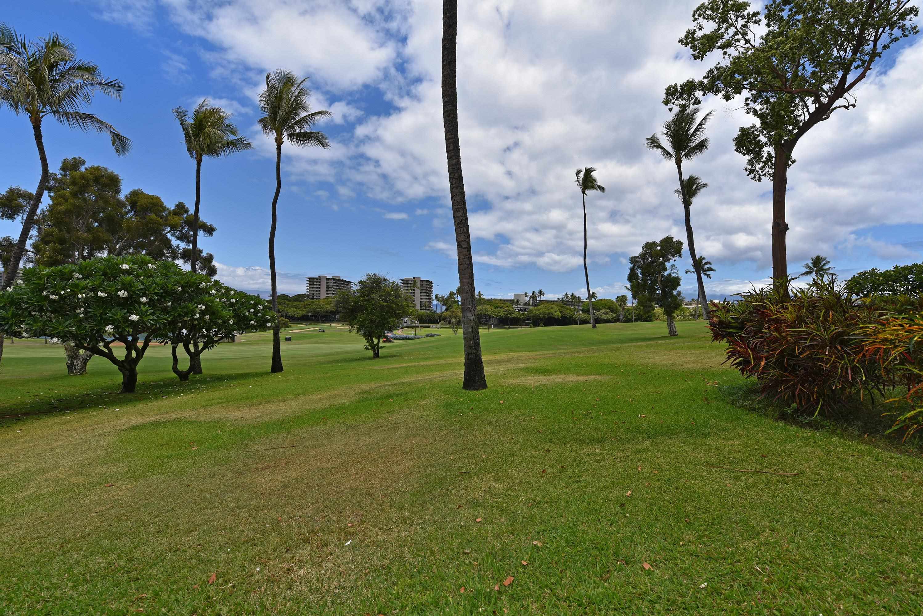 Kaanapali Royal condo # L102, Lahaina, Hawaii - photo 8 of 50