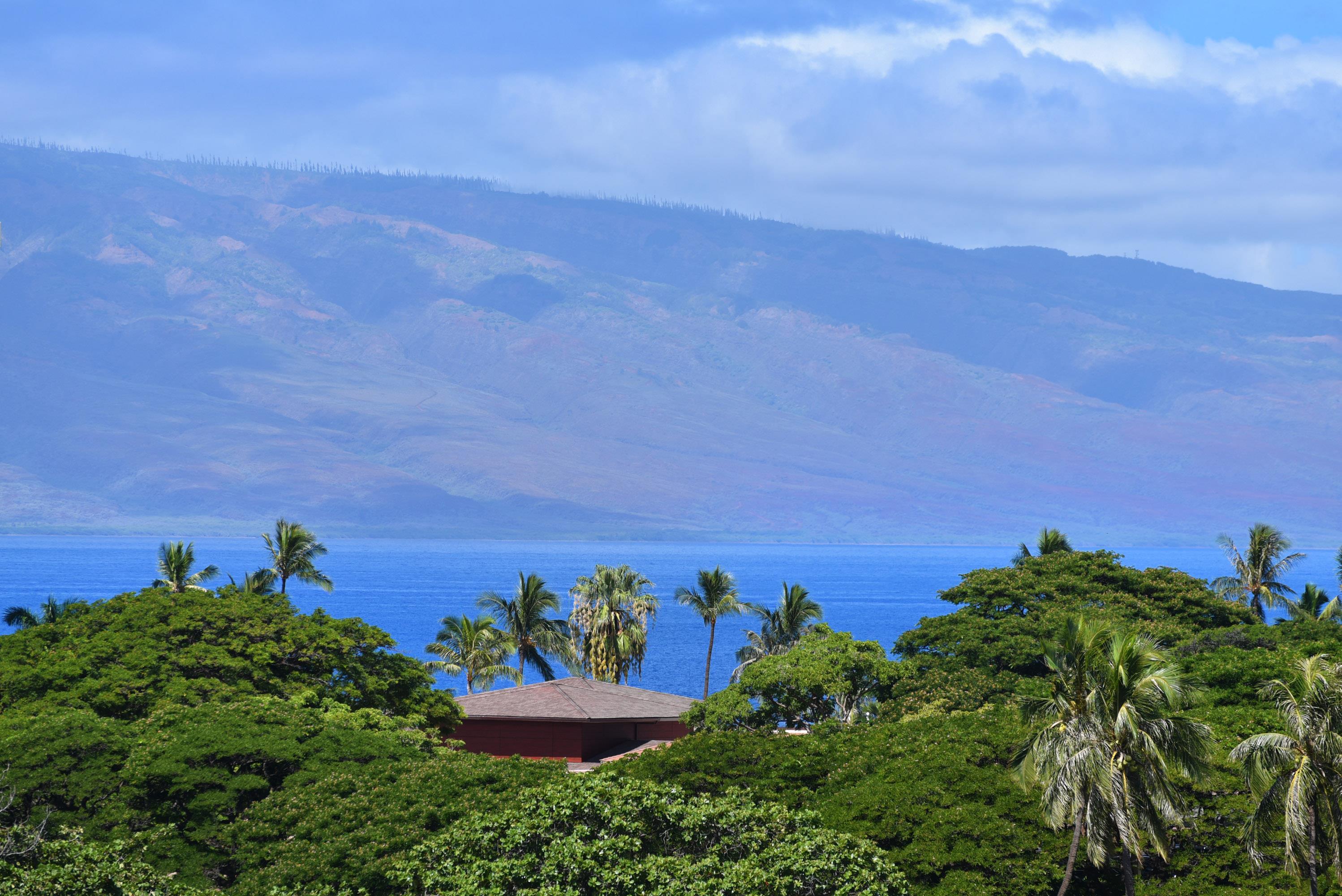 Kaanapali Royal condo # L102, Lahaina, Hawaii - photo 10 of 50