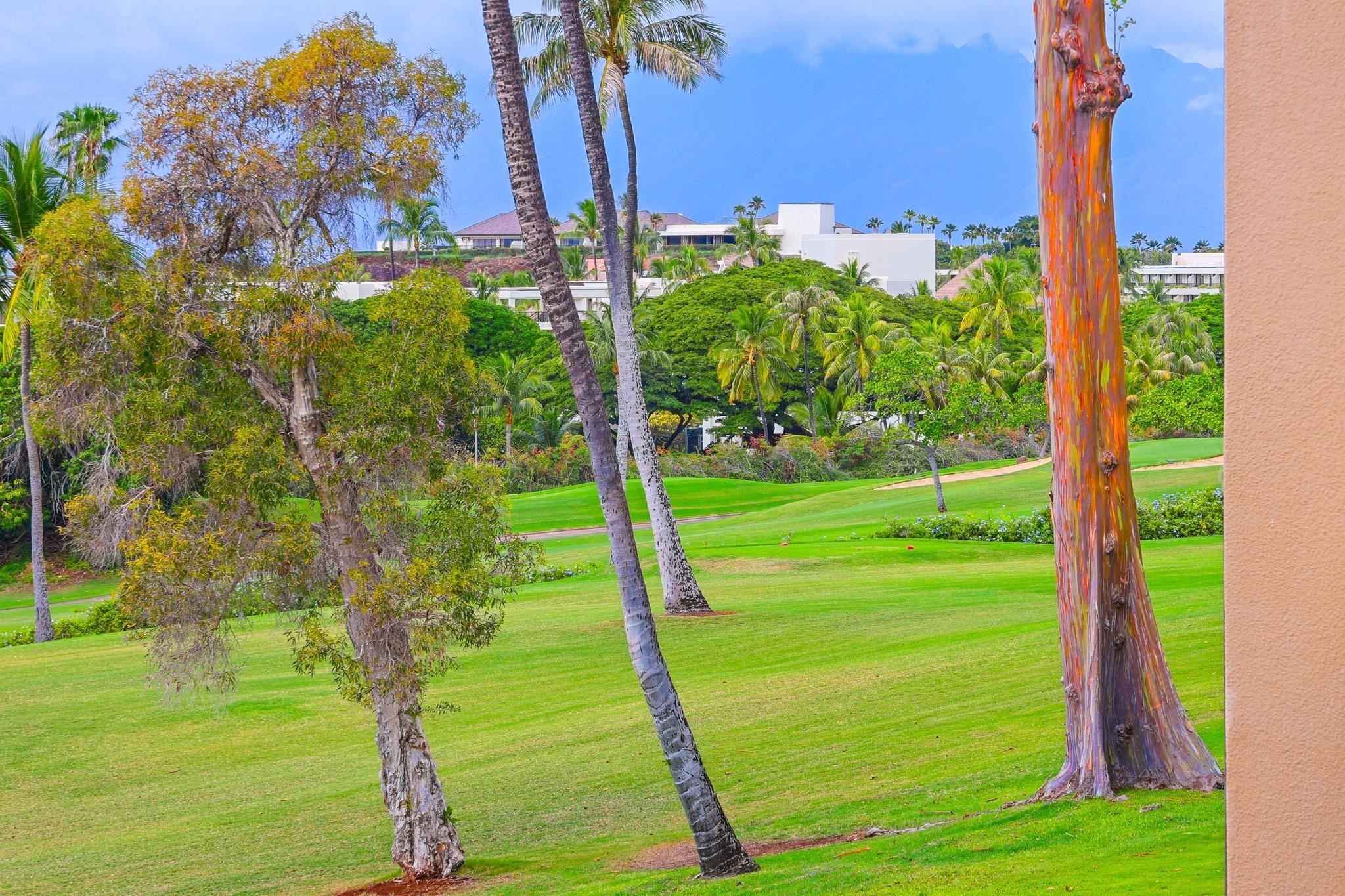Kaanapali Royal condo # L-201, Lahaina, Hawaii - photo 43 of 49