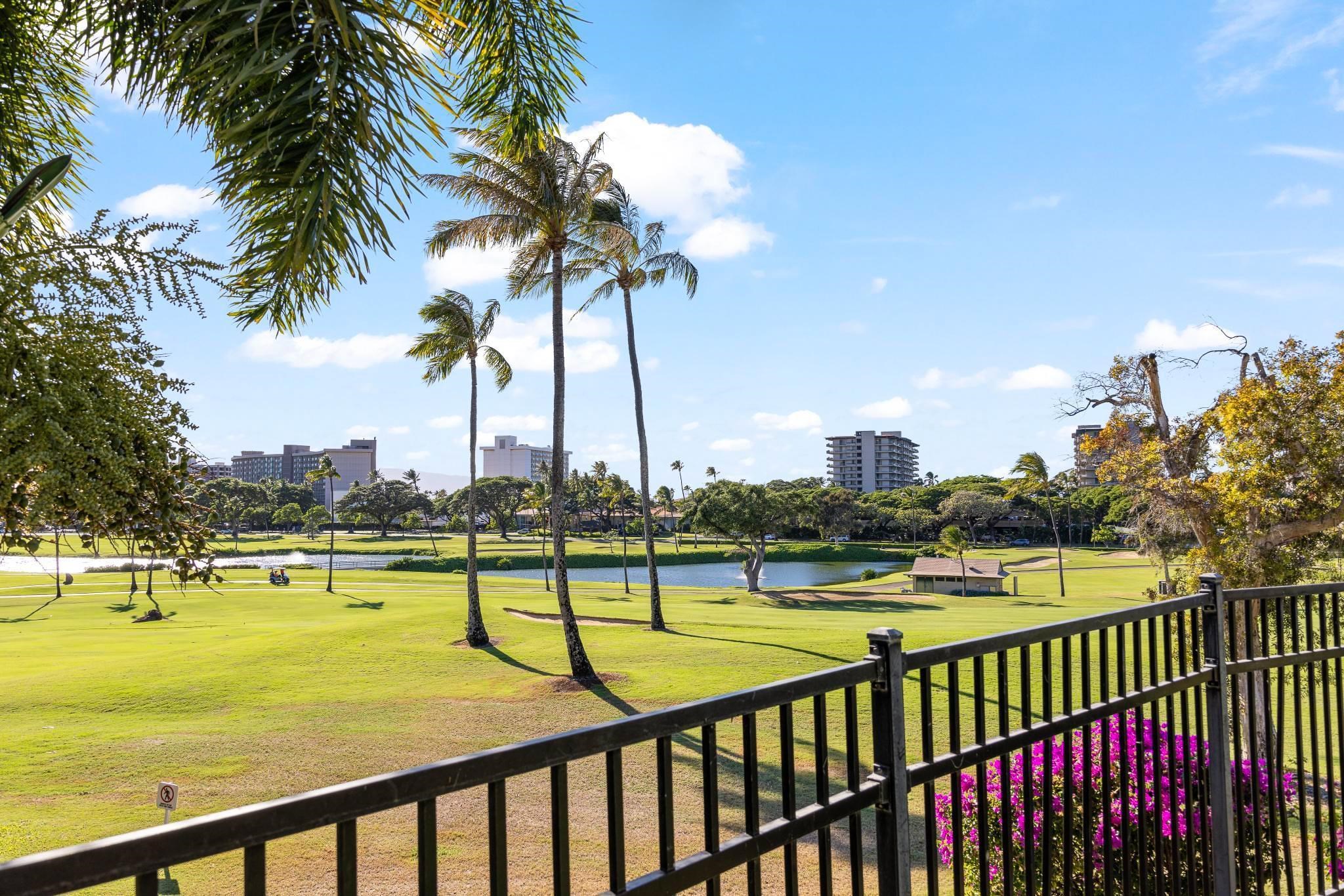 Kaanapali Royal condo # L-201, Lahaina, Hawaii - photo 44 of 49