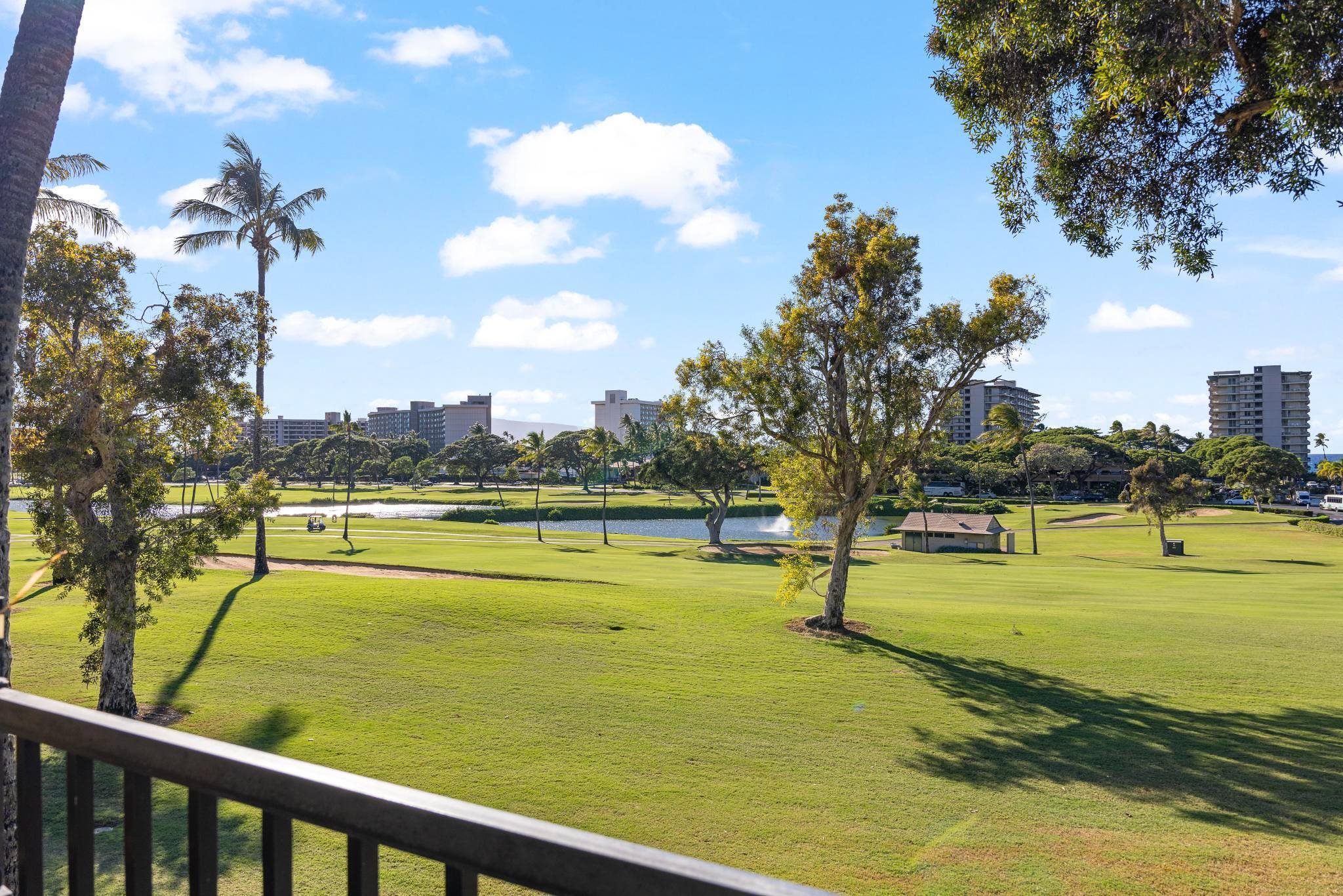 Kaanapali Royal condo # L-201, Lahaina, Hawaii - photo 45 of 49