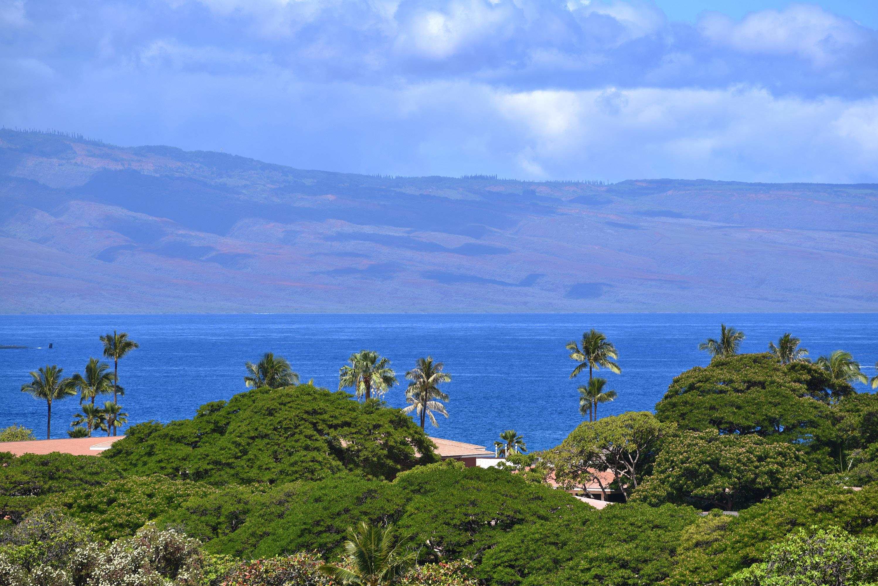 Kaanapali Royal condo # N302, Lahaina, Hawaii - photo 2 of 48