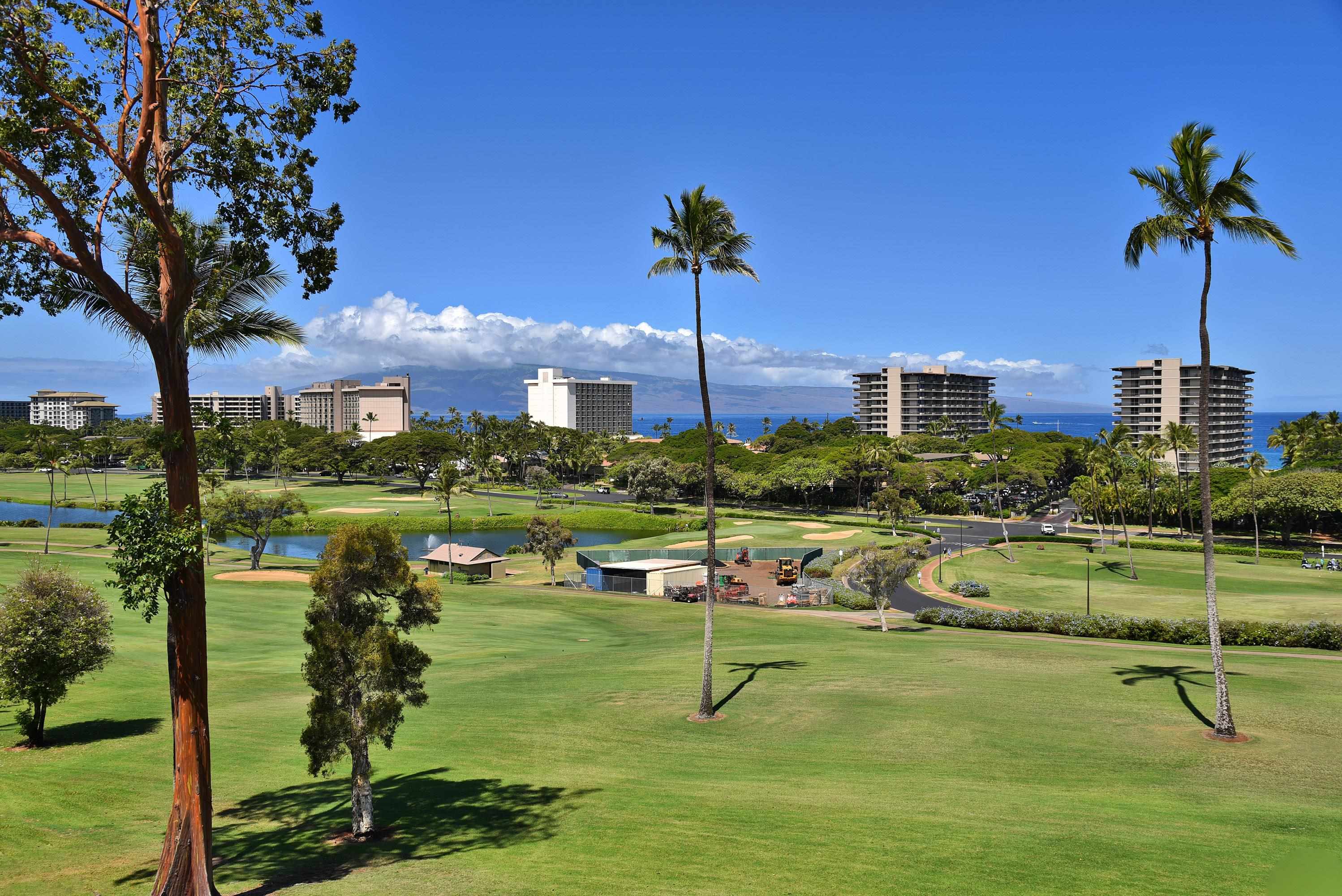 Kaanapali Royal condo # N302, Lahaina, Hawaii - photo 3 of 48