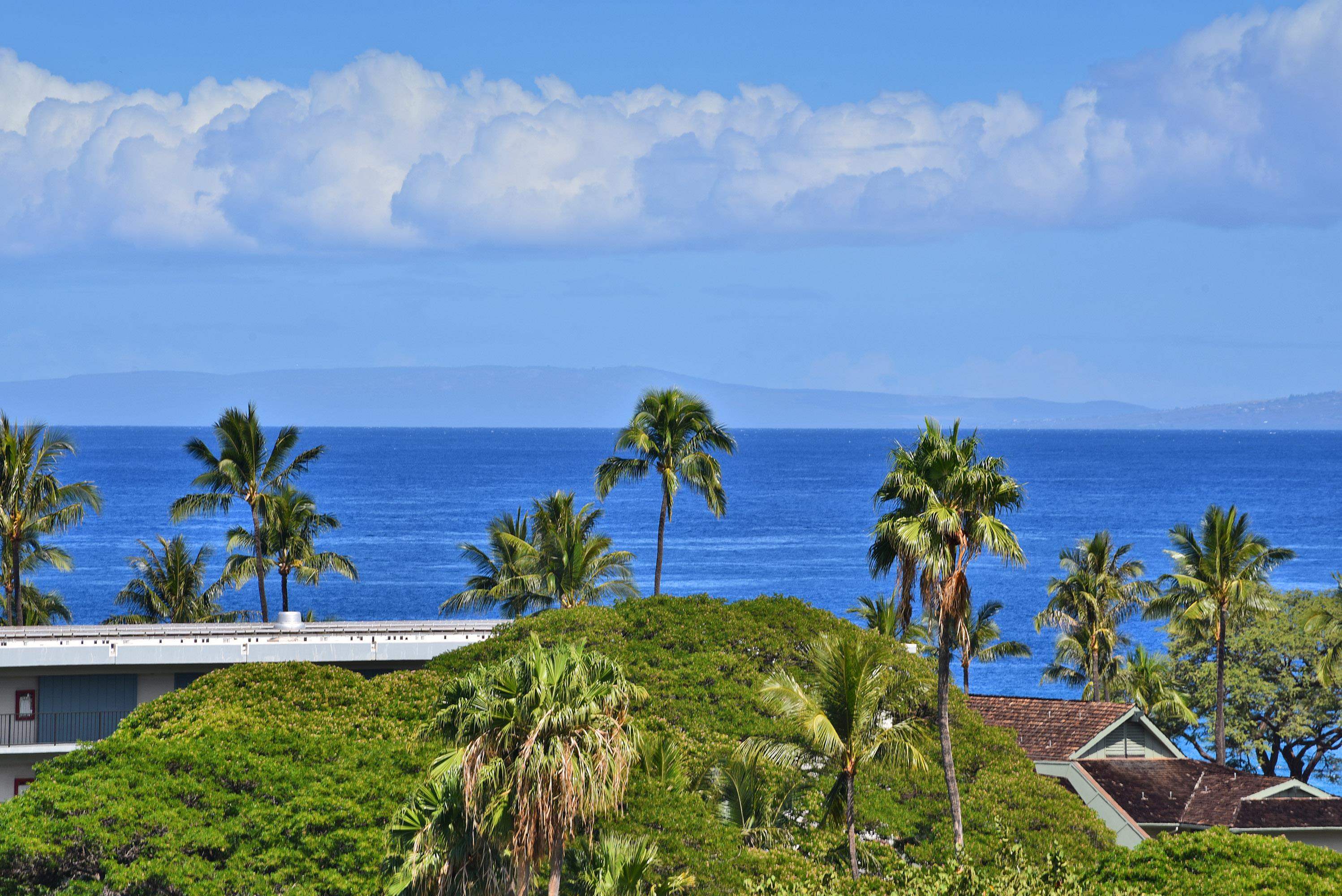 Kaanapali Royal condo # N302, Lahaina, Hawaii - photo 36 of 48