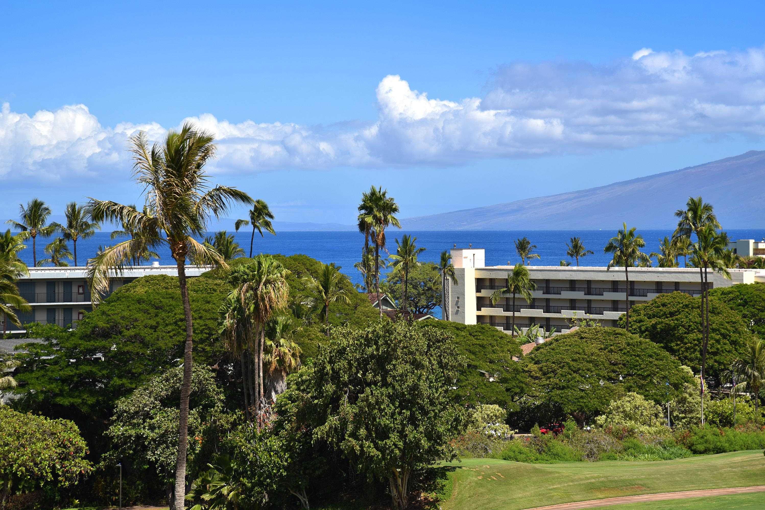 Kaanapali Royal condo # N302, Lahaina, Hawaii - photo 37 of 48