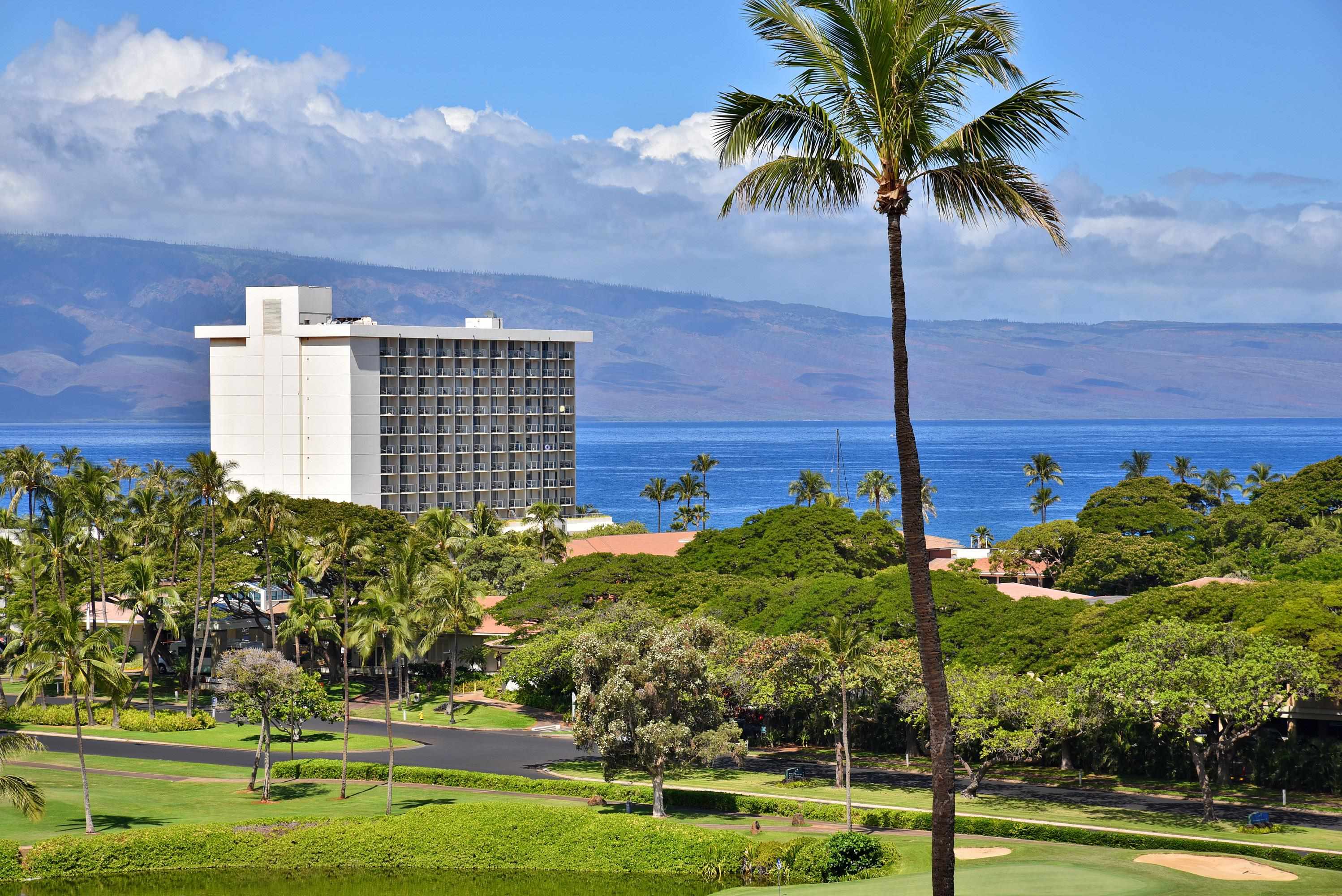Kaanapali Royal condo # N302, Lahaina, Hawaii - photo 38 of 48