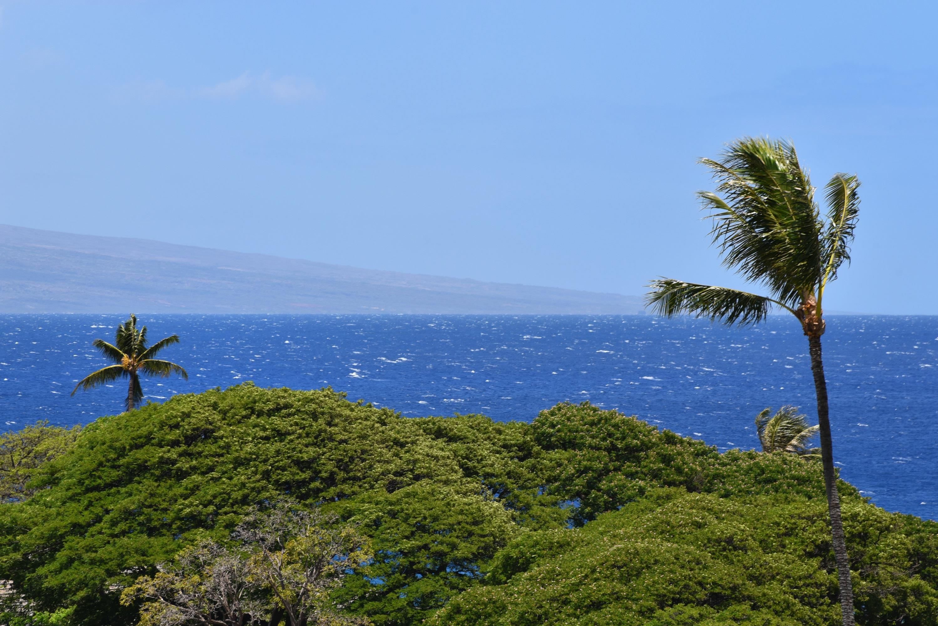Kaanapali Royal condo # N302, Lahaina, Hawaii - photo 12 of 48
