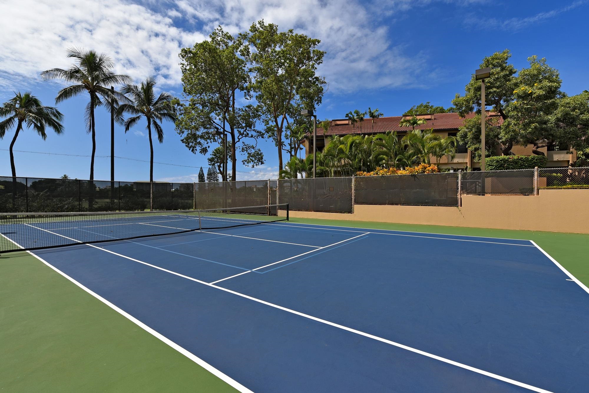 Kaanapali Royal condo # N302, Lahaina, Hawaii - photo 47 of 48