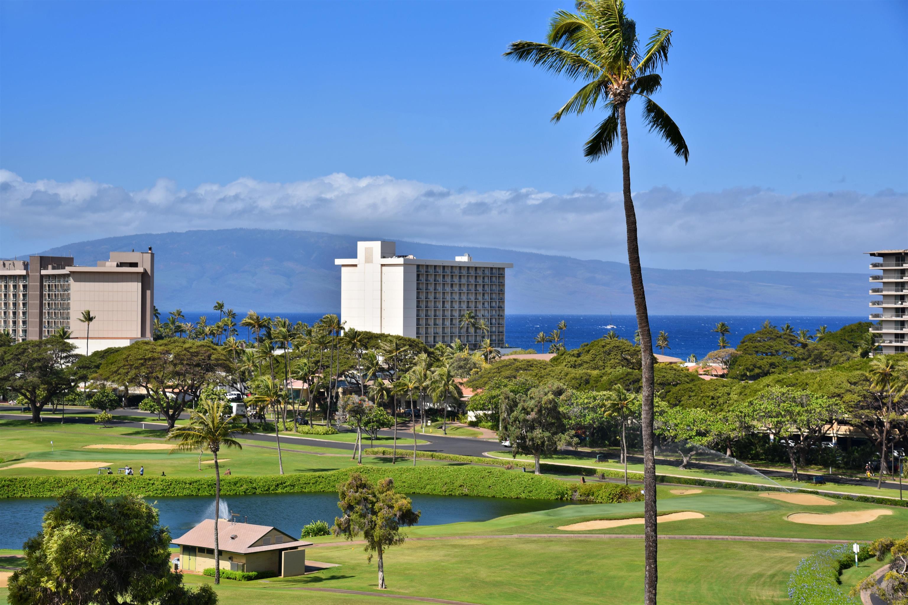 Kaanapali Royal condo # N302, Lahaina, Hawaii - photo 7 of 48
