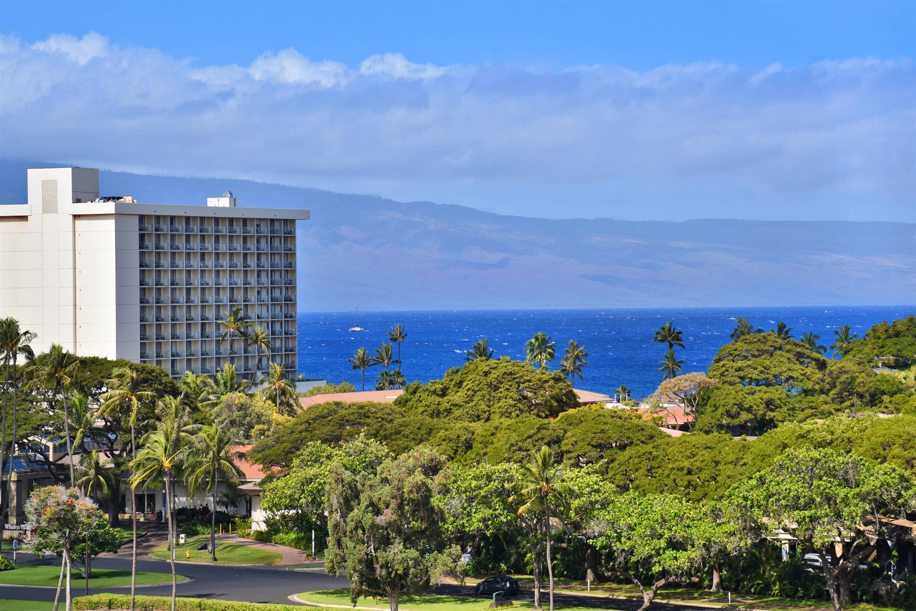 Kaanapali Royal condo # N302, Lahaina, Hawaii - photo 8 of 48