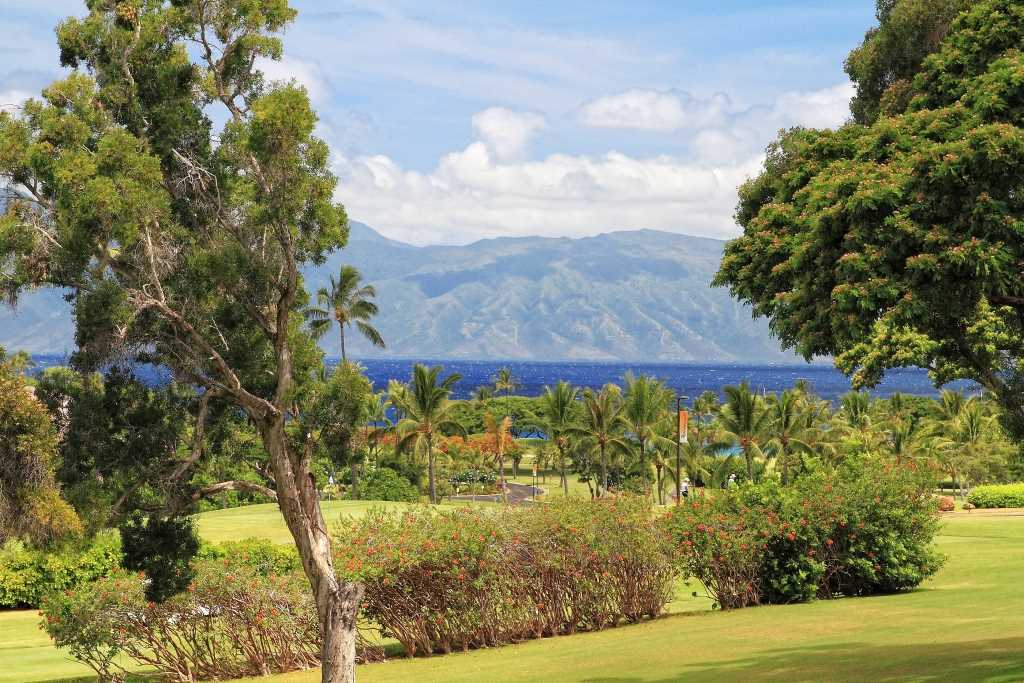 Kaanapali Royal condo # Q-101, Lahaina, Hawaii - photo 29 of 29